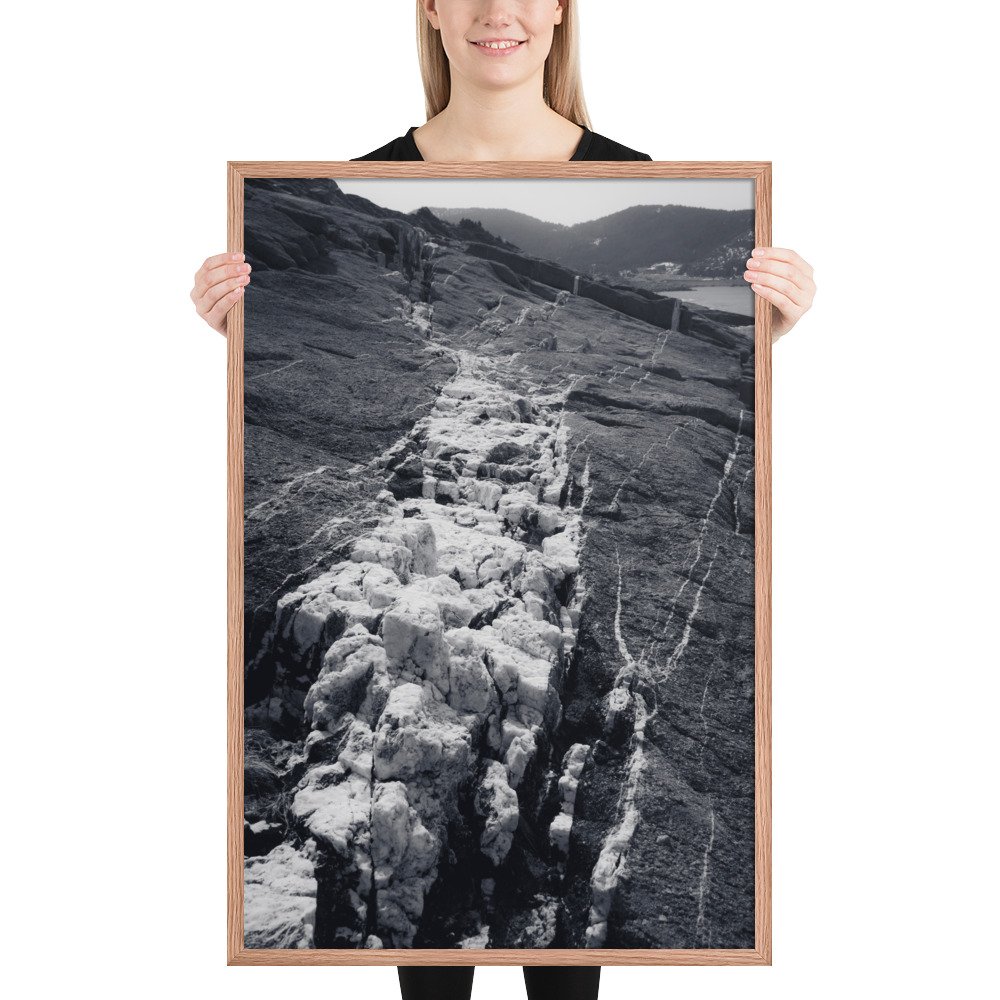 enhanced-matte-paper-framed-poster-(in)-red-oak-24x36-person-66ef308aac628.jpg