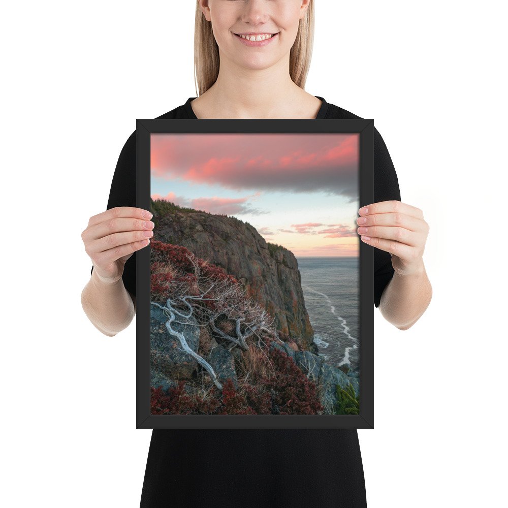 enhanced-matte-paper-framed-poster-(in)-black-12x16-person-66f0a03b72dba.jpg