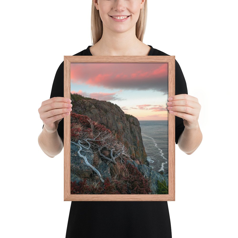 enhanced-matte-paper-framed-poster-(in)-red-oak-12x16-person-66f0a03b72f04.jpg