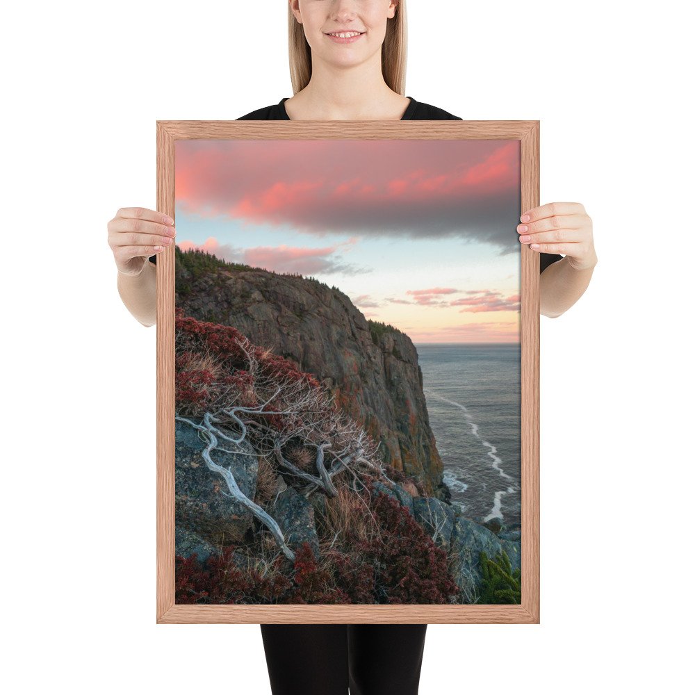 enhanced-matte-paper-framed-poster-(in)-red-oak-18x24-person-66f0a03b7301a.jpg