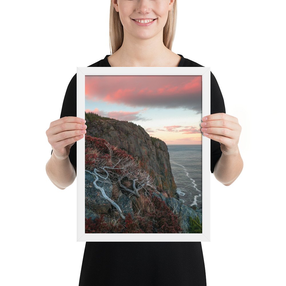 enhanced-matte-paper-framed-poster-(in)-white-12x16-person-66f0a03b730ee.jpg