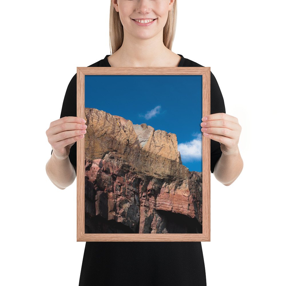 enhanced-matte-paper-framed-poster-(in)-red-oak-12x16-person-66f899db2e8d3.jpg