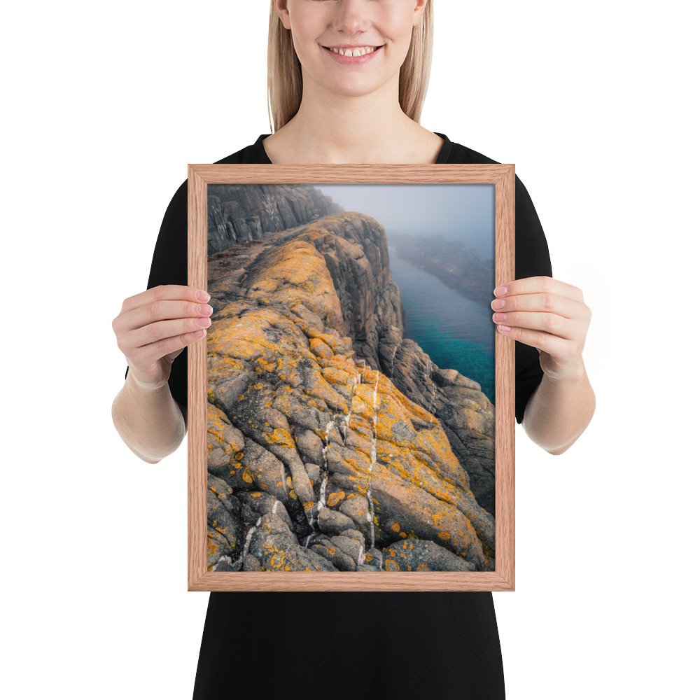 enhanced-matte-paper-framed-poster-(in)-red-oak-12x16-person-66f89bab63aaf.jpg