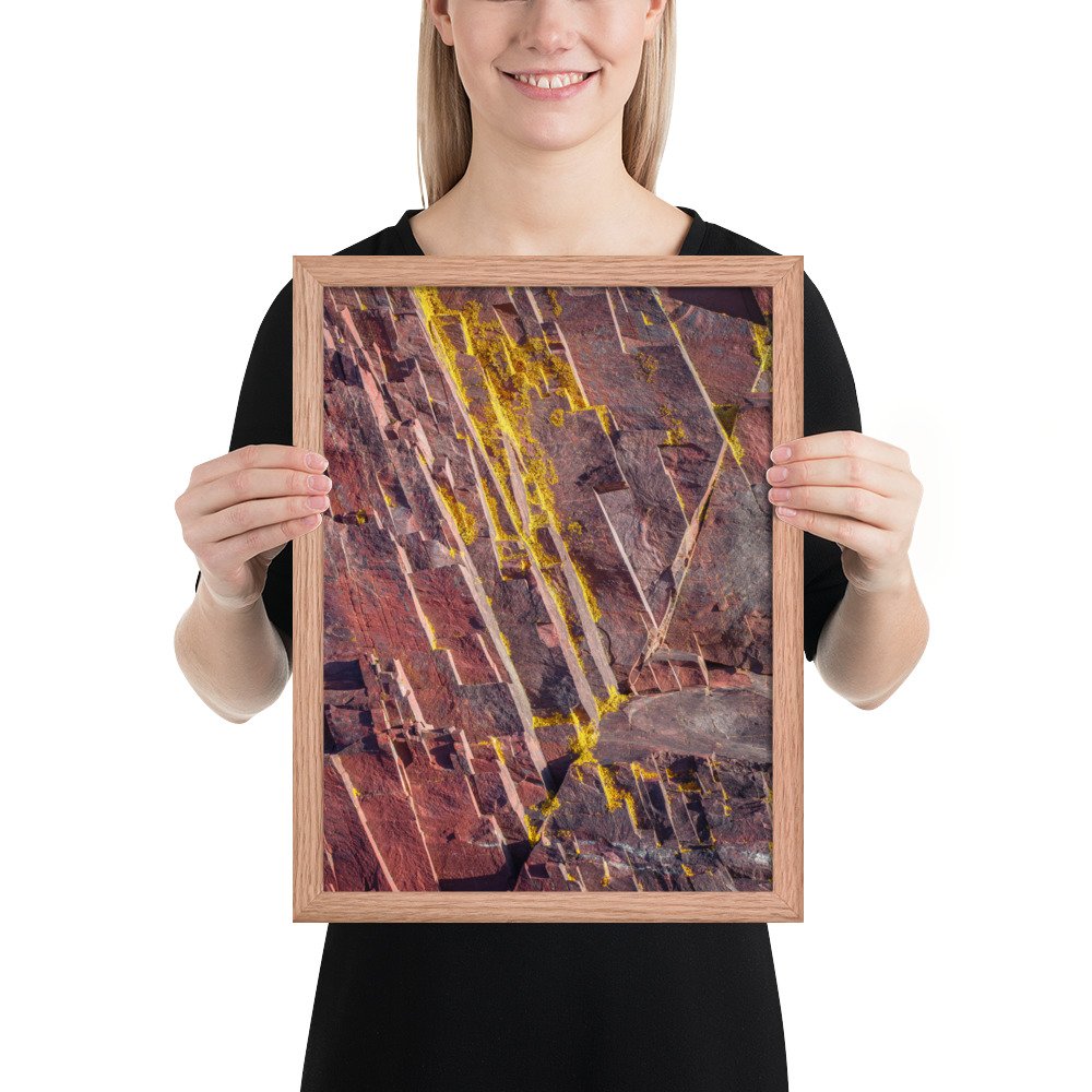 enhanced-matte-paper-framed-poster-(in)-red-oak-12x16-person-66f8a2d1c1feb.jpg