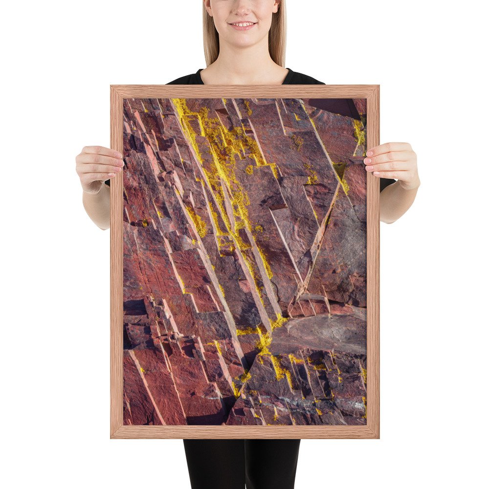 enhanced-matte-paper-framed-poster-(in)-red-oak-18x24-person-66f8a2d1c2134.jpg