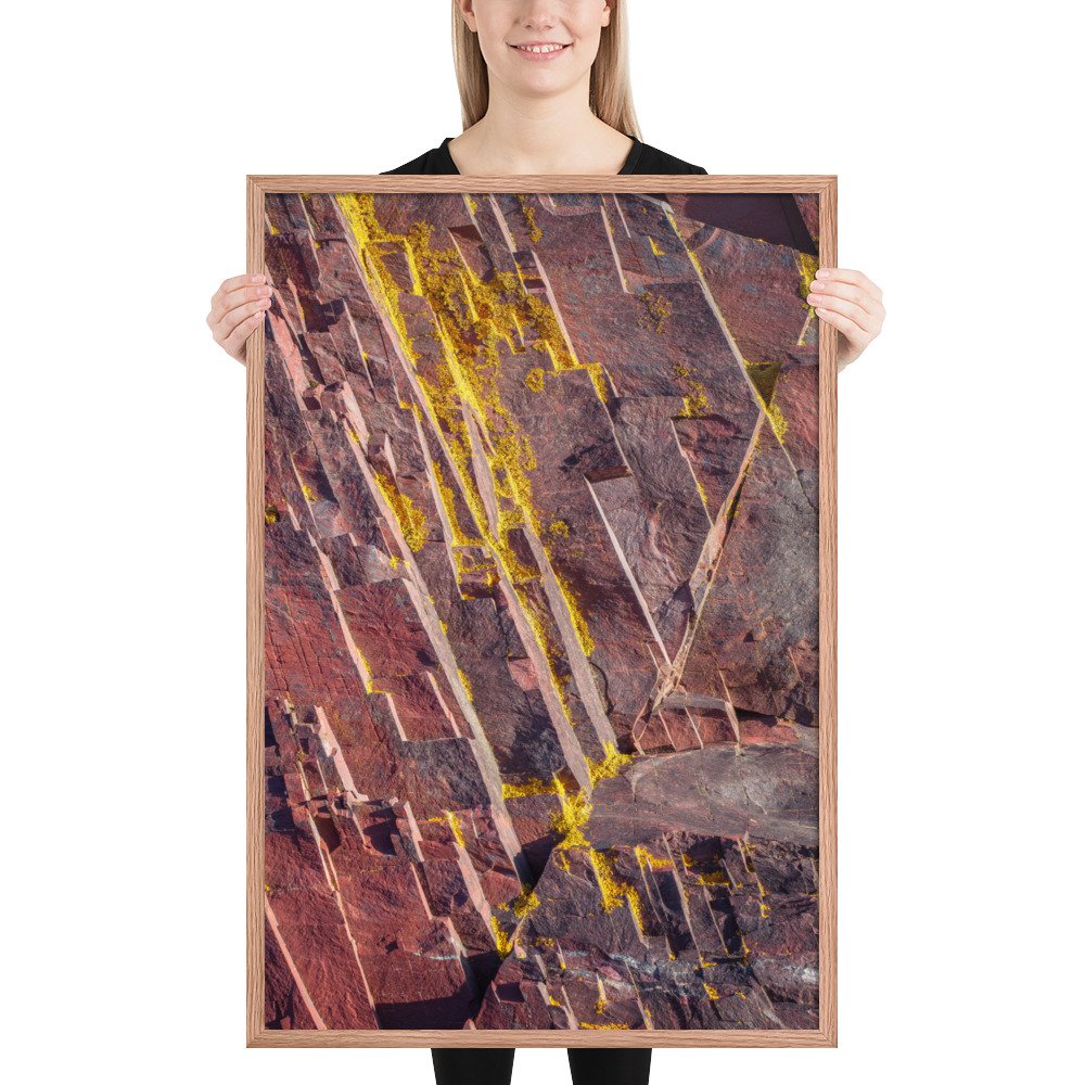 enhanced-matte-paper-framed-poster-(in)-red-oak-24x36-person-66f8a2d1c2265.jpg