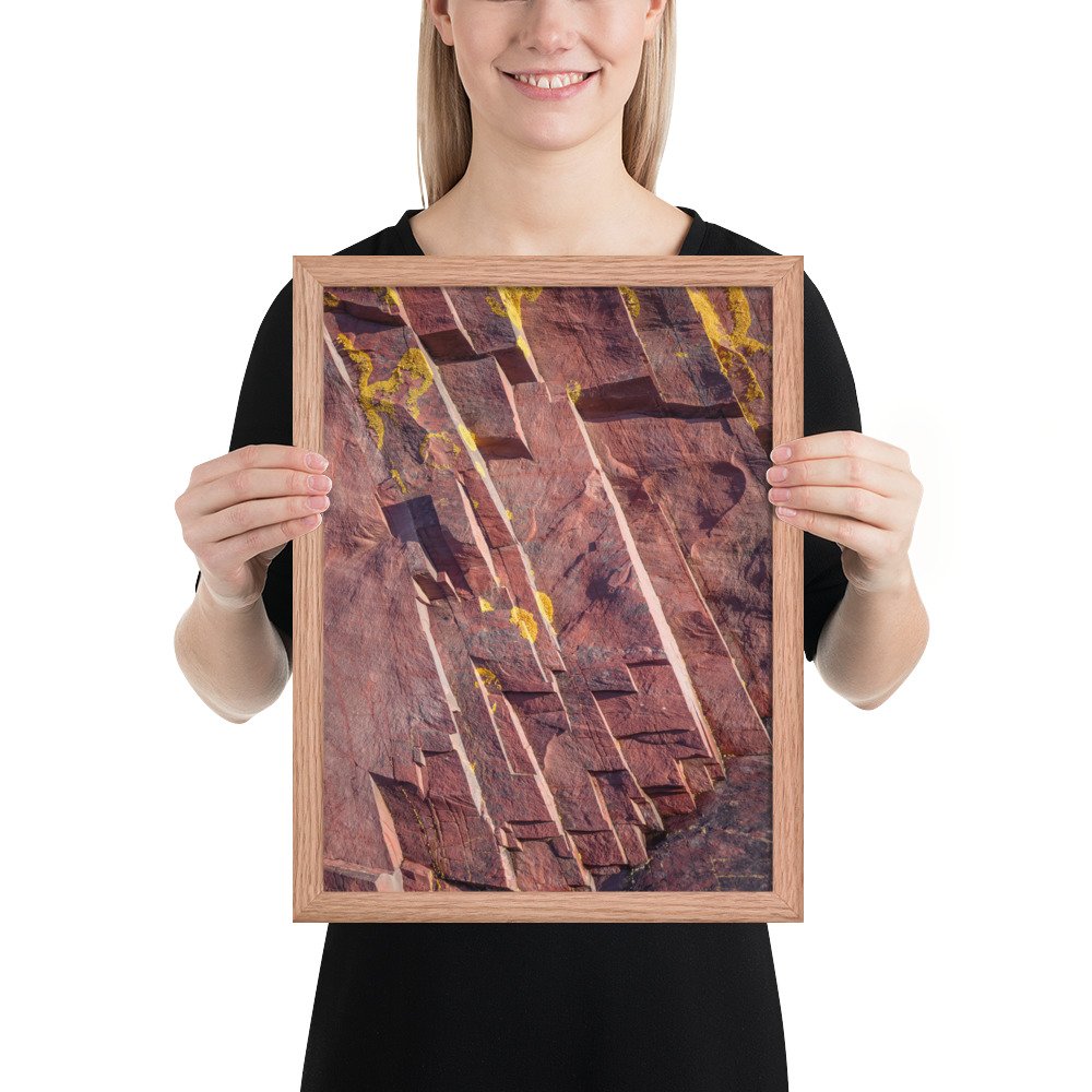 enhanced-matte-paper-framed-poster-(in)-red-oak-12x16-person-66fac472eddd8.jpg