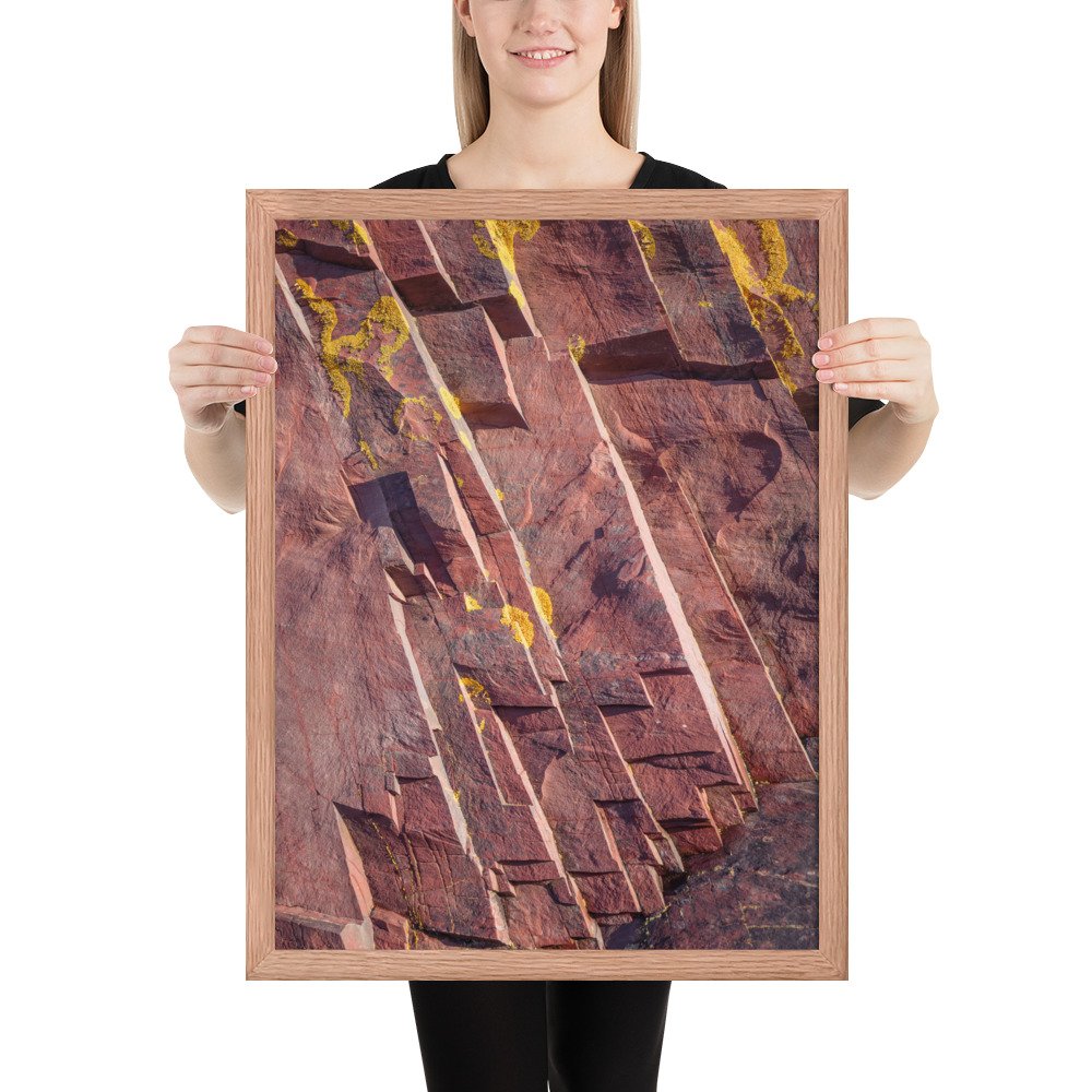 enhanced-matte-paper-framed-poster-(in)-red-oak-18x24-person-66fac472edefc.jpg