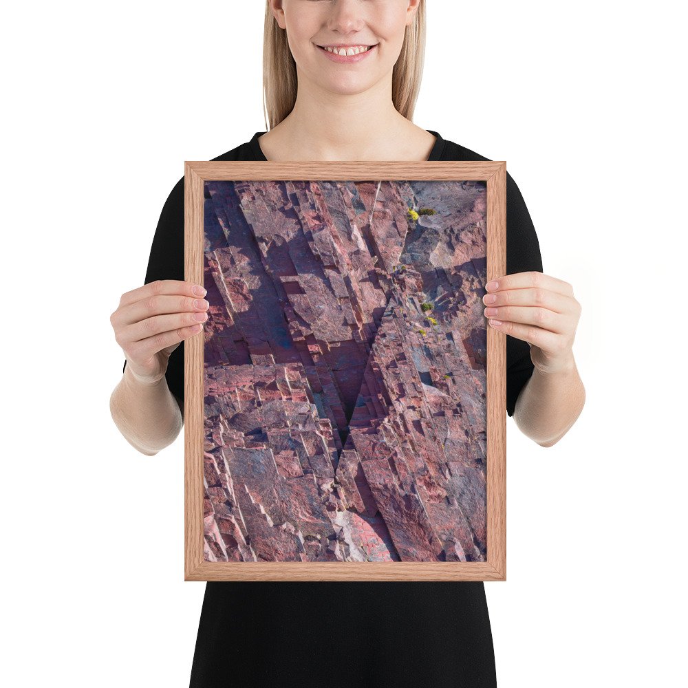 enhanced-matte-paper-framed-poster-(in)-red-oak-12x16-person-66fb088bbc363.jpg