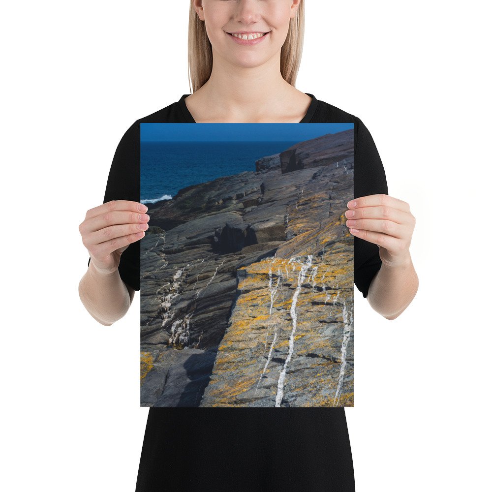enhanced-matte-paper-poster-(in)-12x16-person-67715eddf3b80.jpg