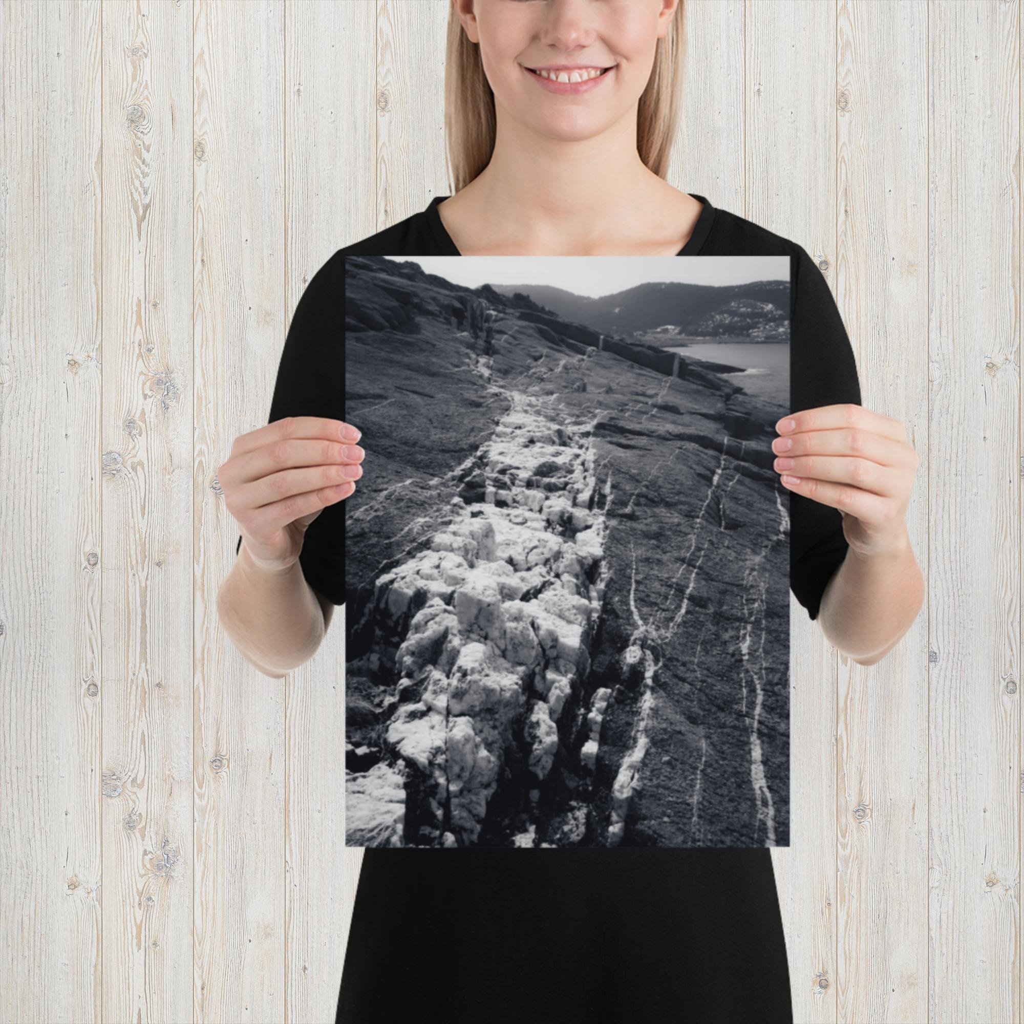enhanced-matte-paper-poster-(in)-12x16-person-678ba4be5f5f1.jpg