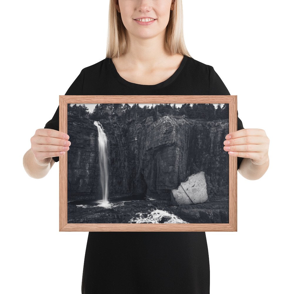 enhanced-matte-paper-framed-poster-(in)-red-oak-12x16-person-679633a977461.jpg