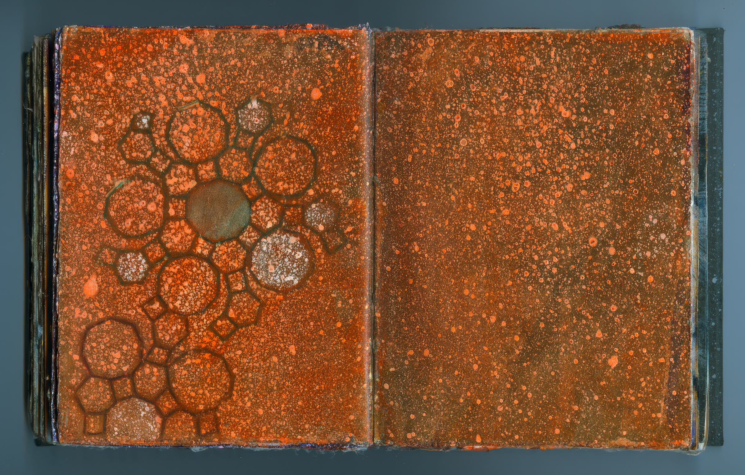 gigapixel-pages i.jpg