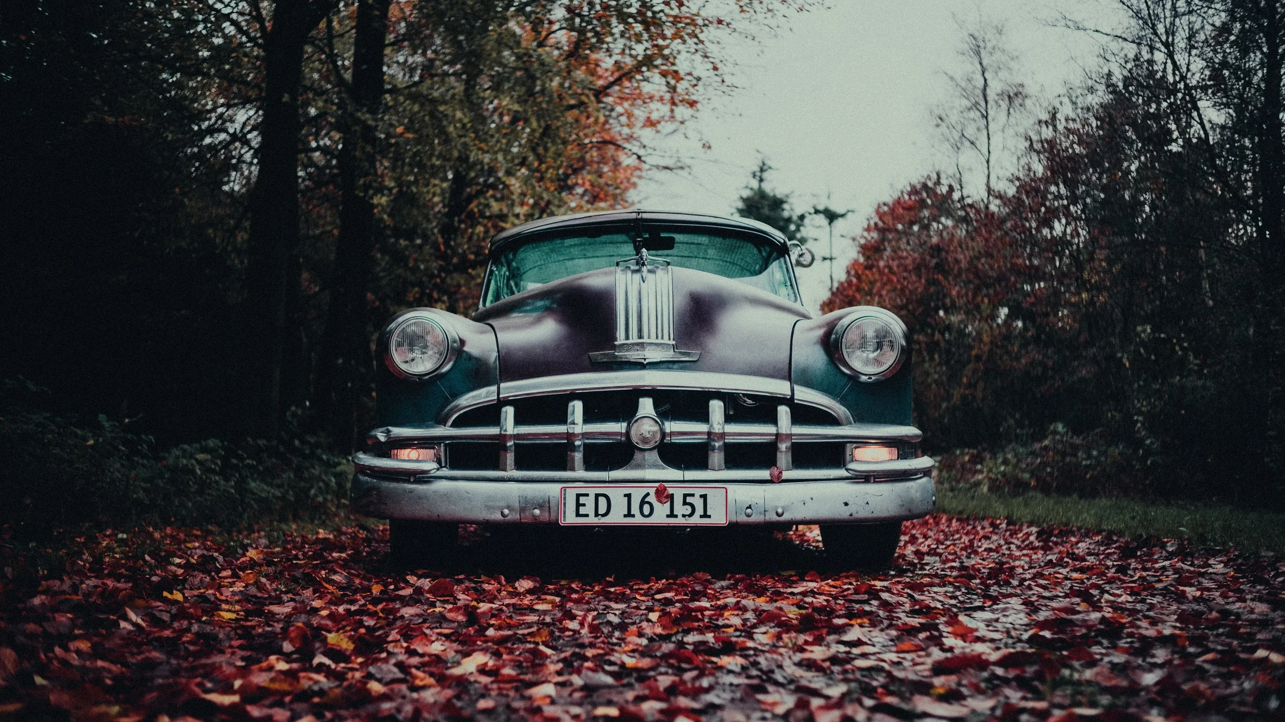 Vintage black car with gray grille and round headlights parked on a leaf-covered road surrounded by trees with autumn foliage.