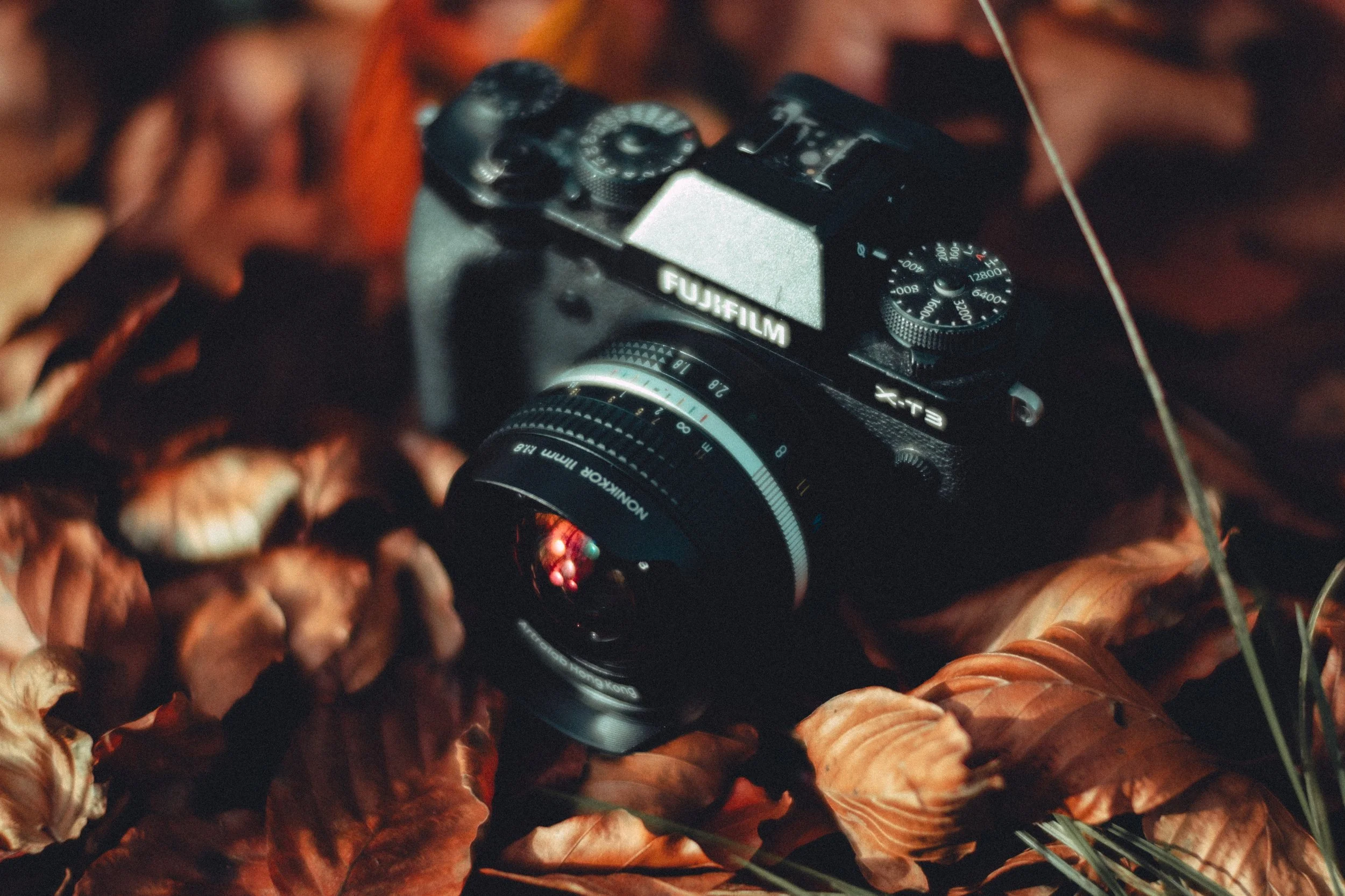 A black FujiFilm X-T3 camera with a Noktor 50mm lens resting on brown autumn leaves.