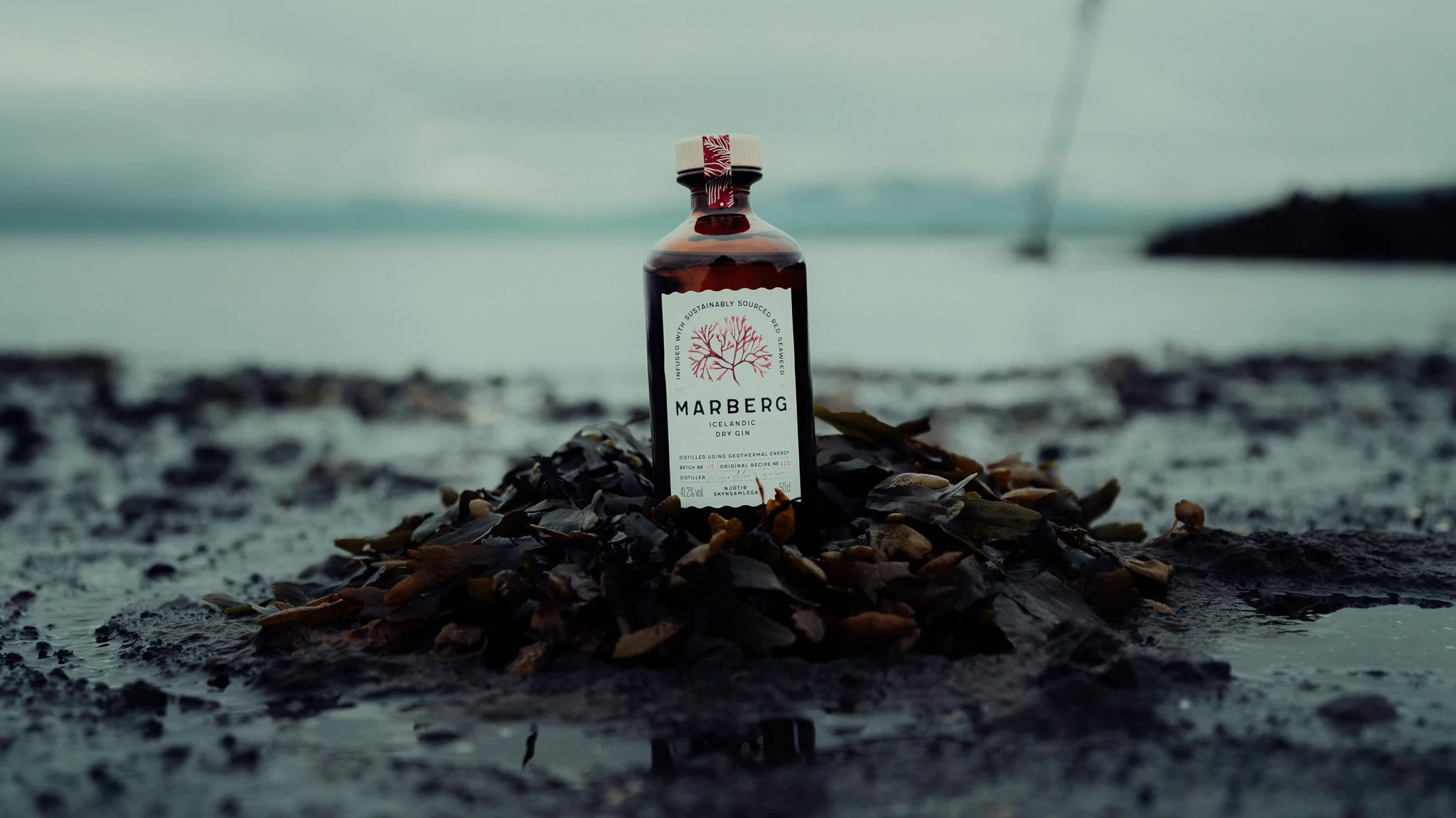 A bottle of Marberg Icelandic dry gin placed on a bed of seaweed on a rocky beach with water and sky in the background.