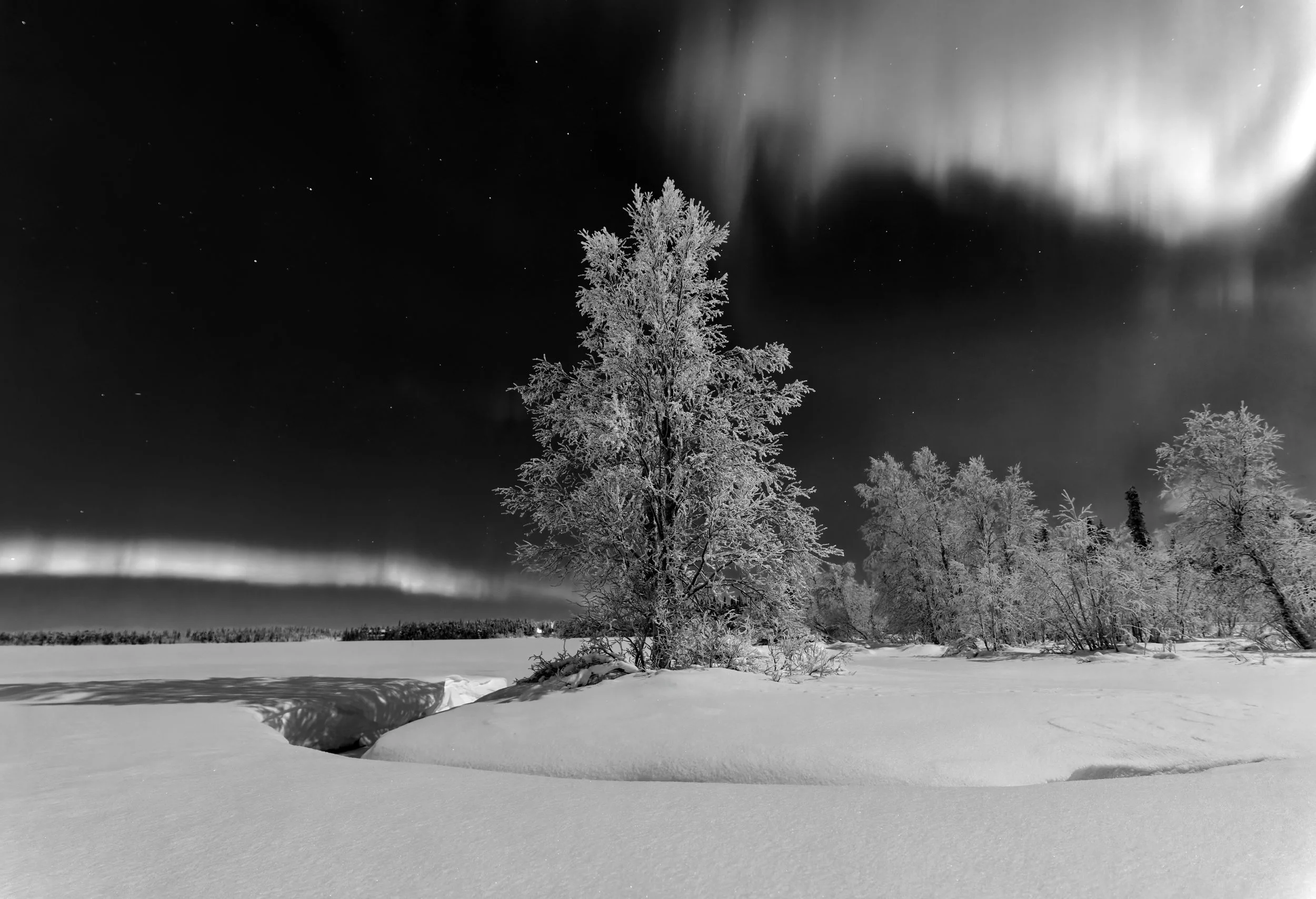 Finland - Winter 2026