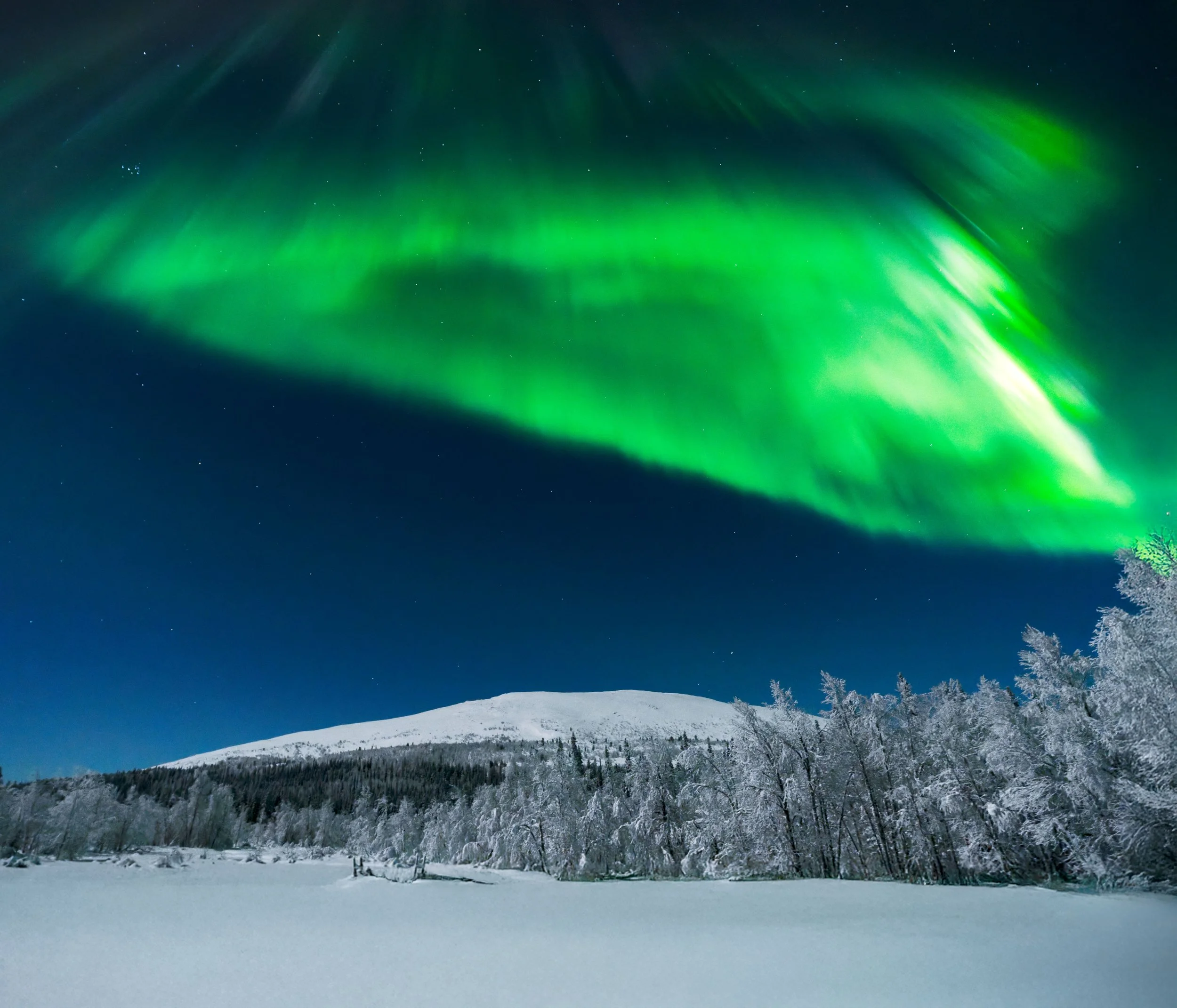 DSC05534-DxO_DeepPRIME 3 1 2.jpg