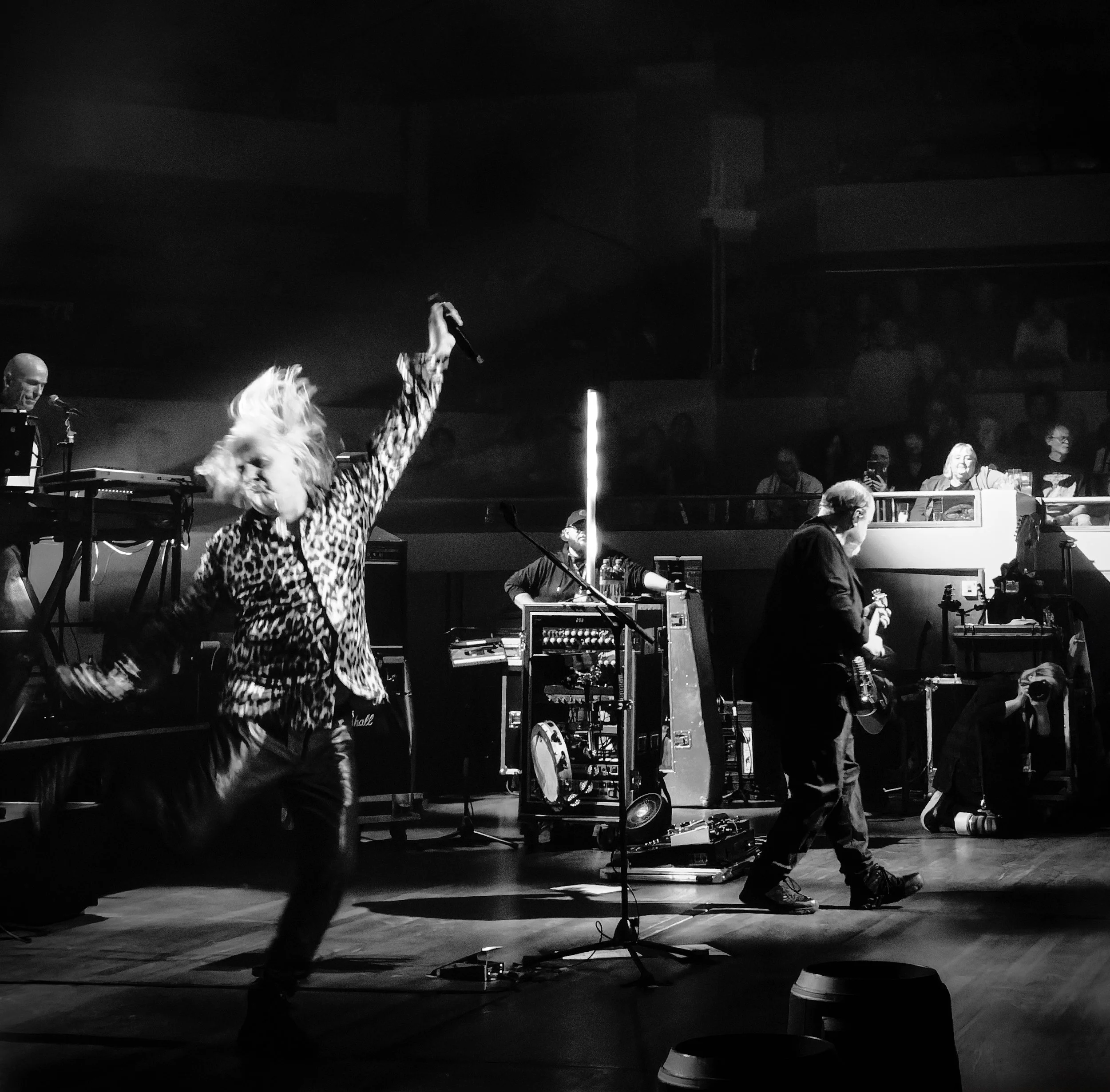 DSC01034-DxO_DeepPRIME 3 1 1 1.jpg