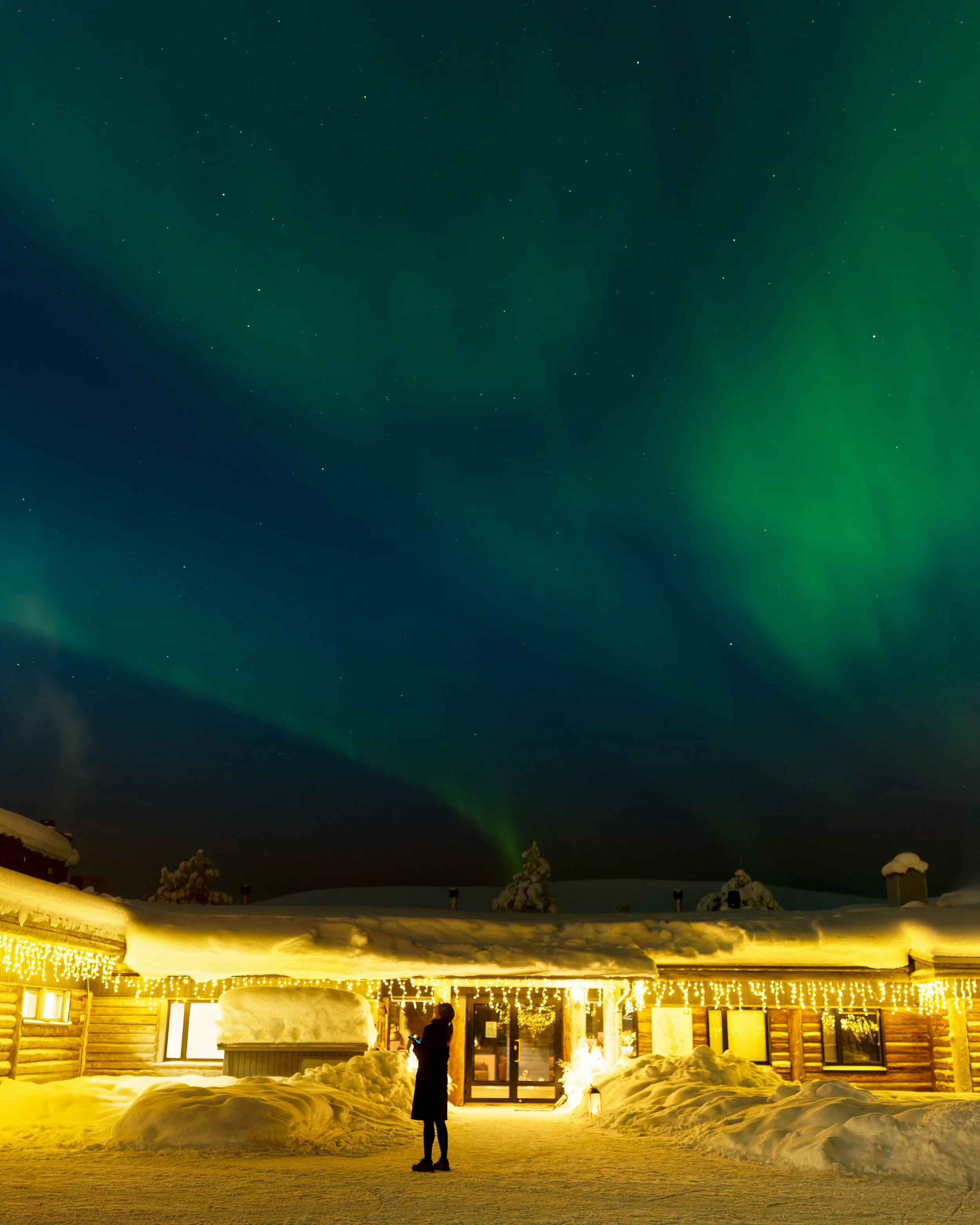 DSC05595-DxO_DeepPRIME 3 1.jpg