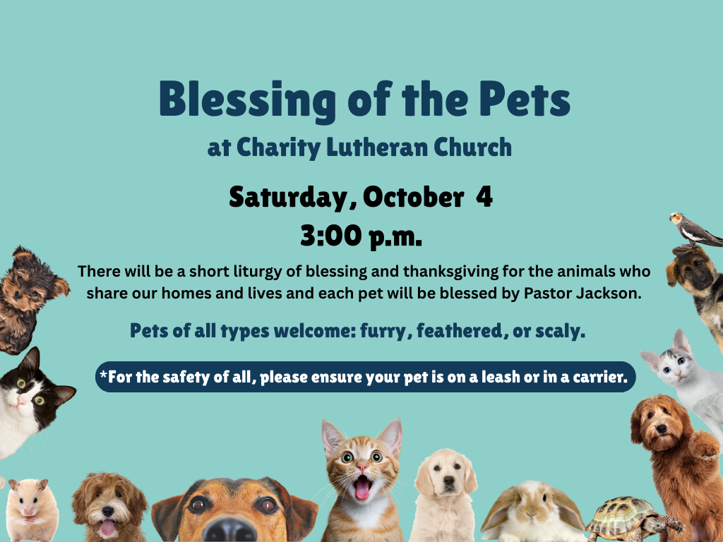 Blessing of the Pets