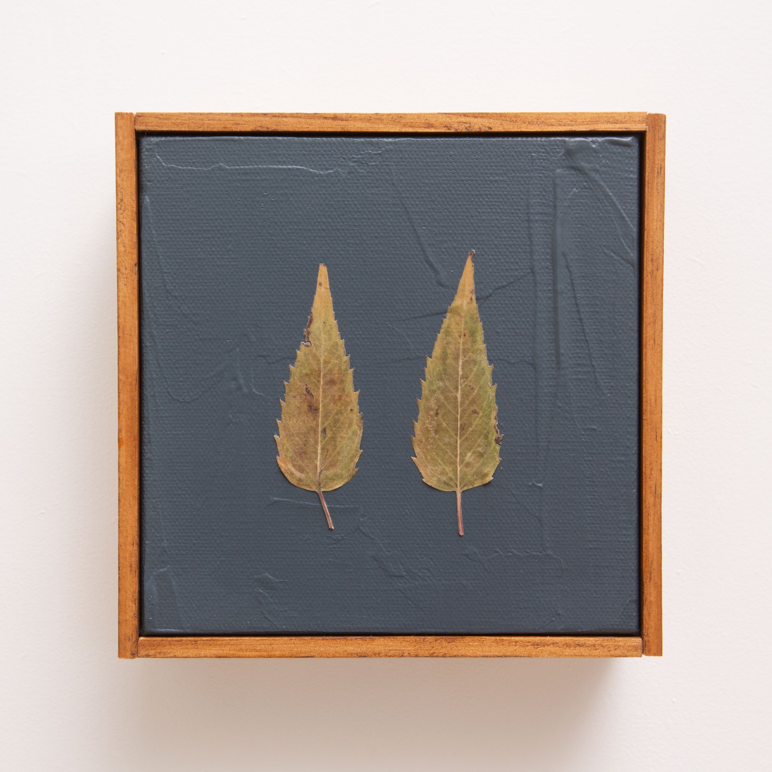 Two Leaves on Midnight Blue - Mini Botanical