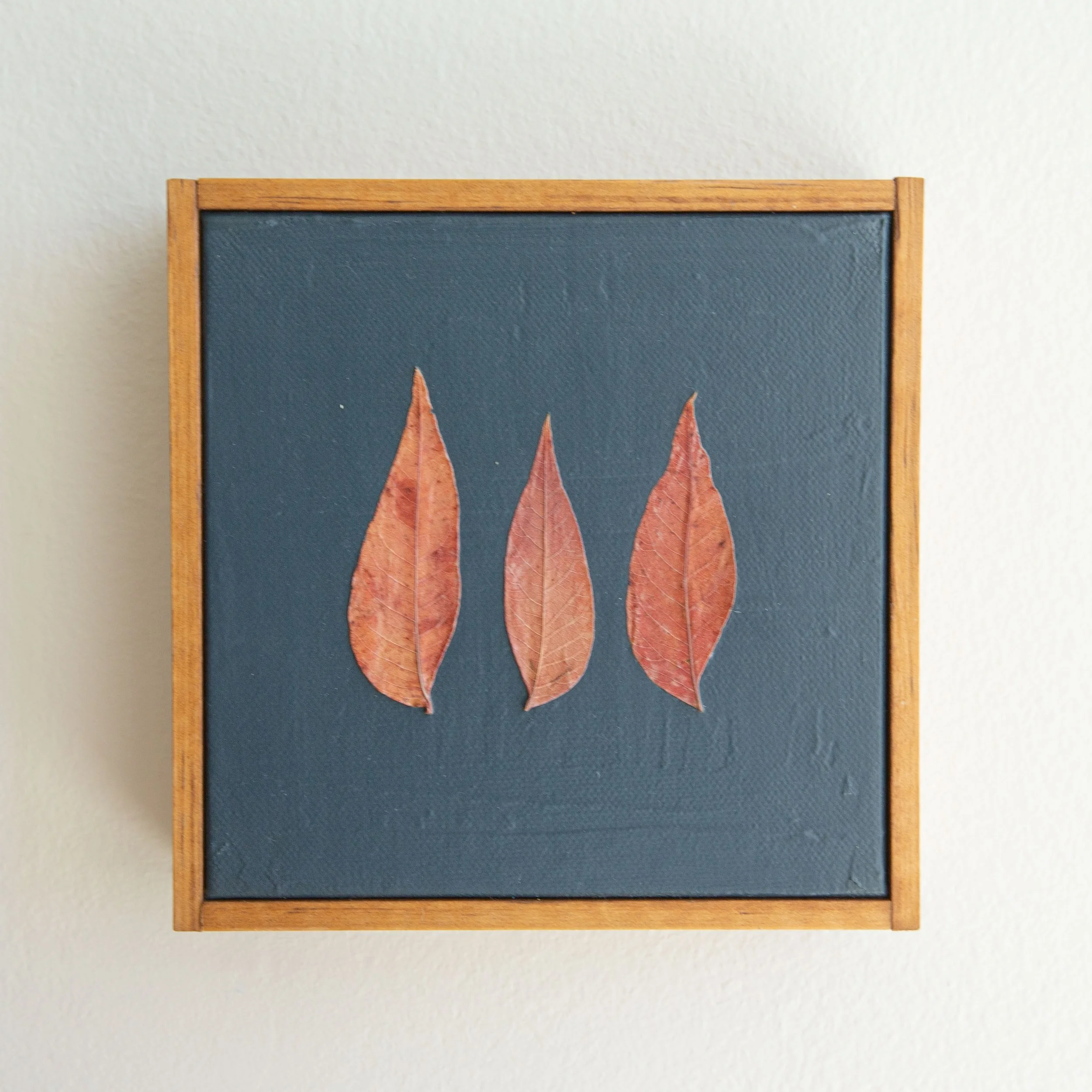 Orange Leaves on Midnight Blue