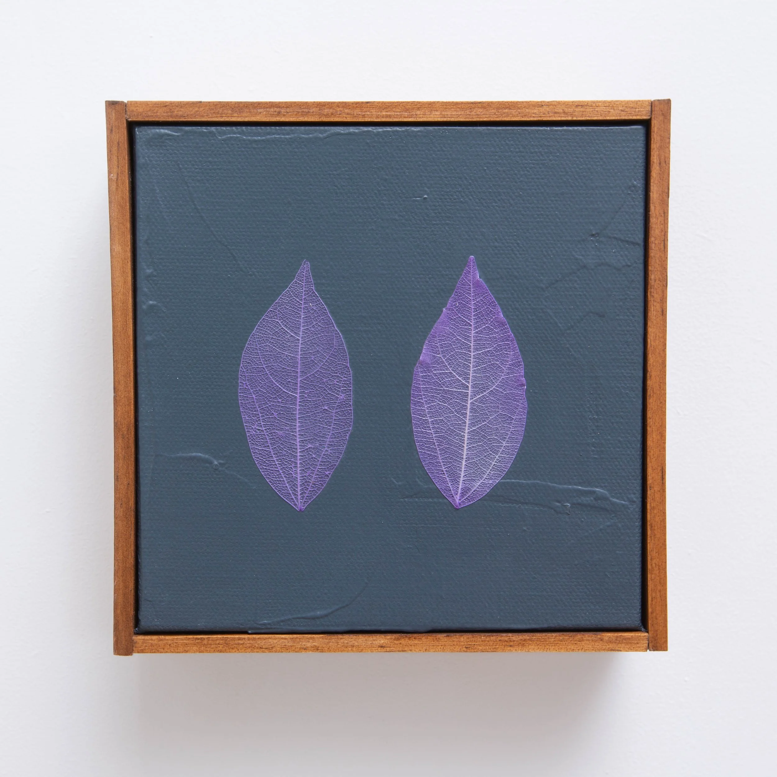 Purple Leaves on Midnight Blue