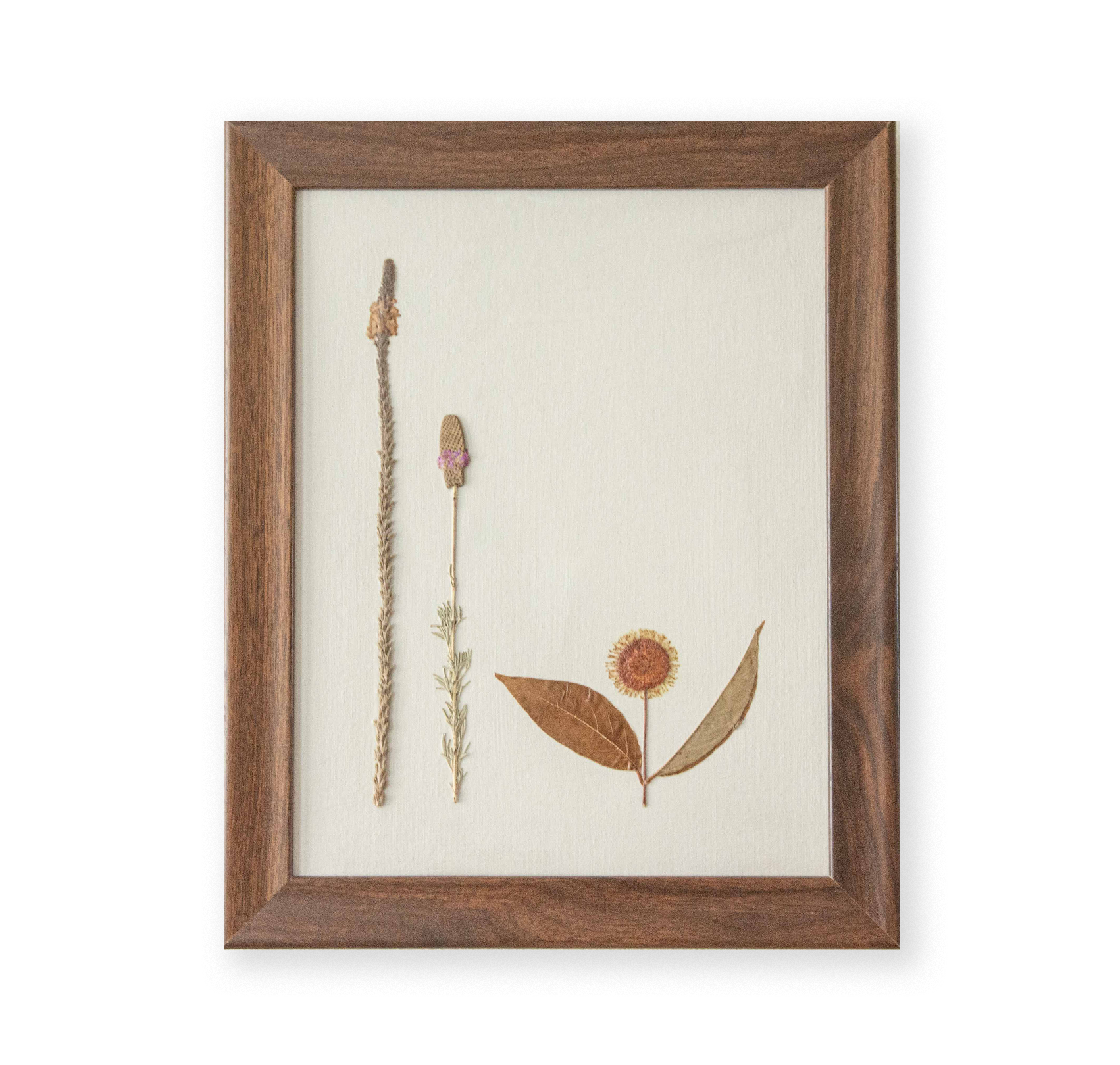 Wildflowers