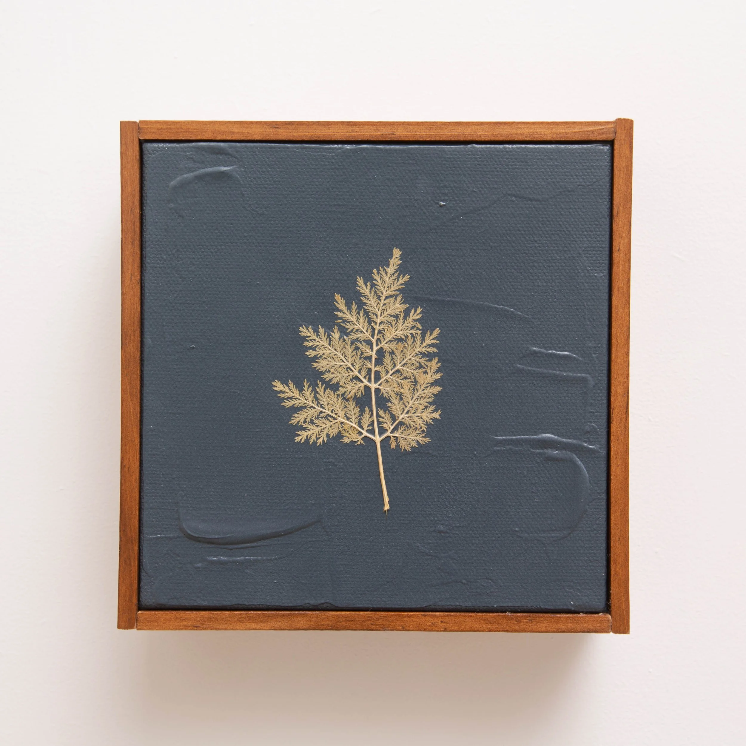 Botanical on Midnight Blue