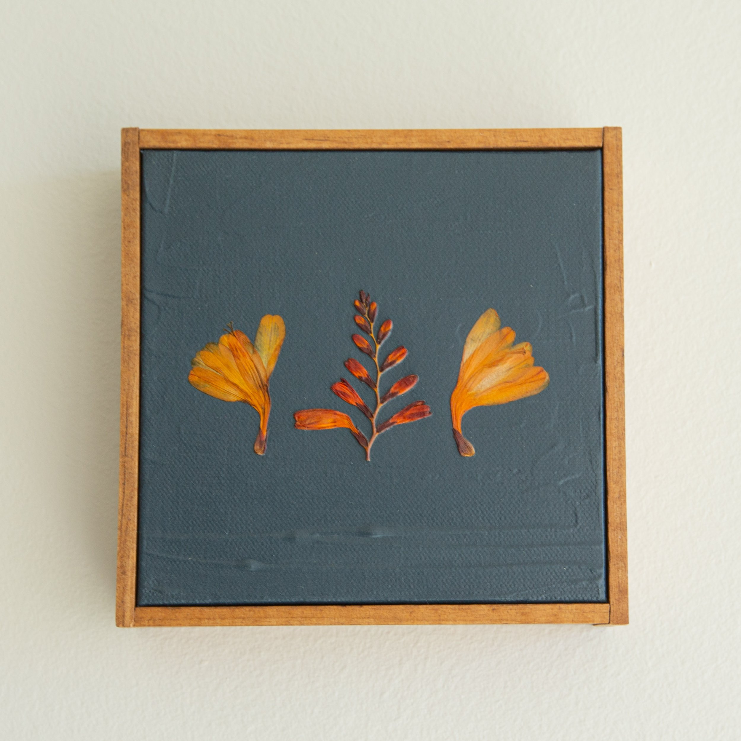 Orange Florals on Midnight Blue