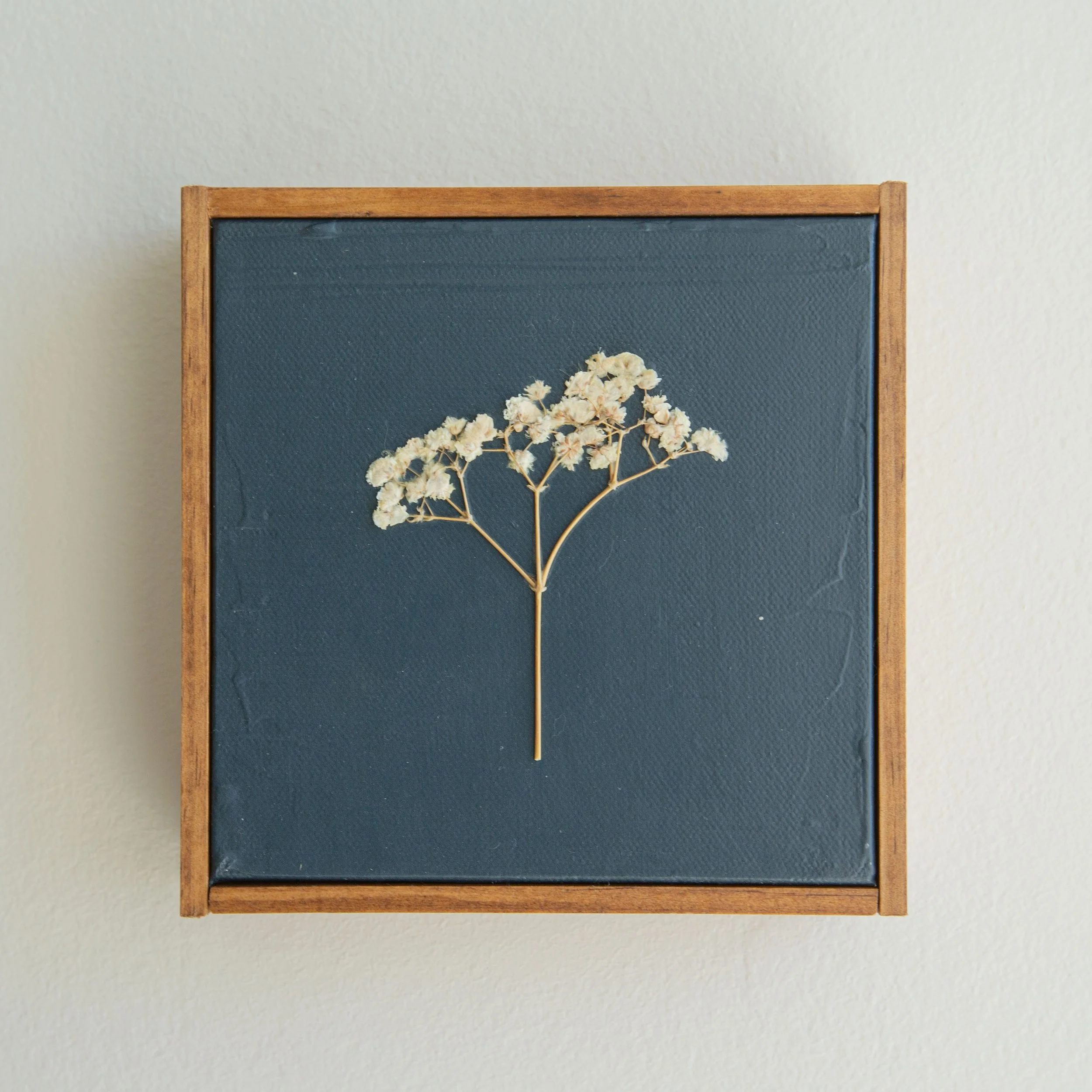 Baby's Breath on Midnight Blue