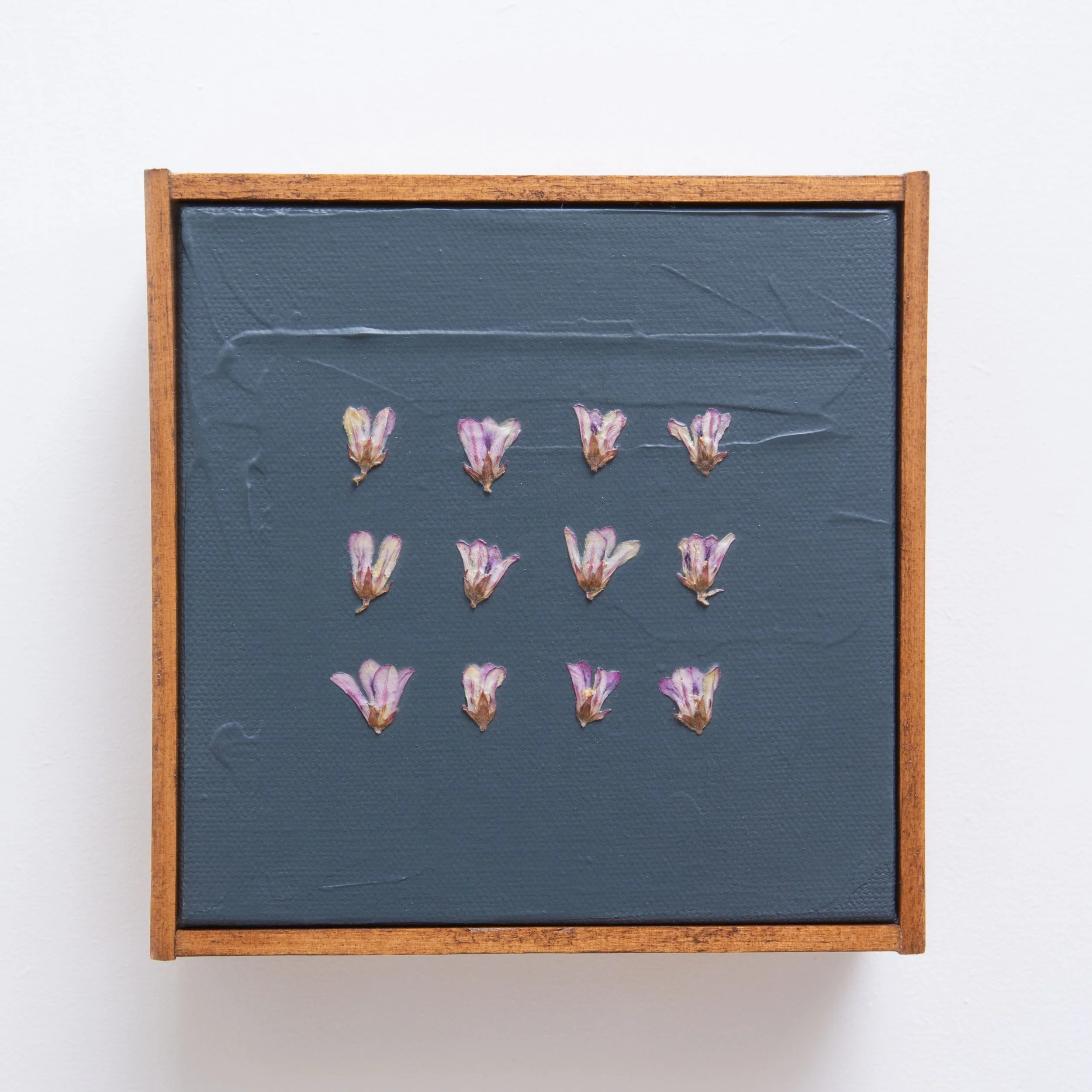 Purple Flowers on Midnight Blue