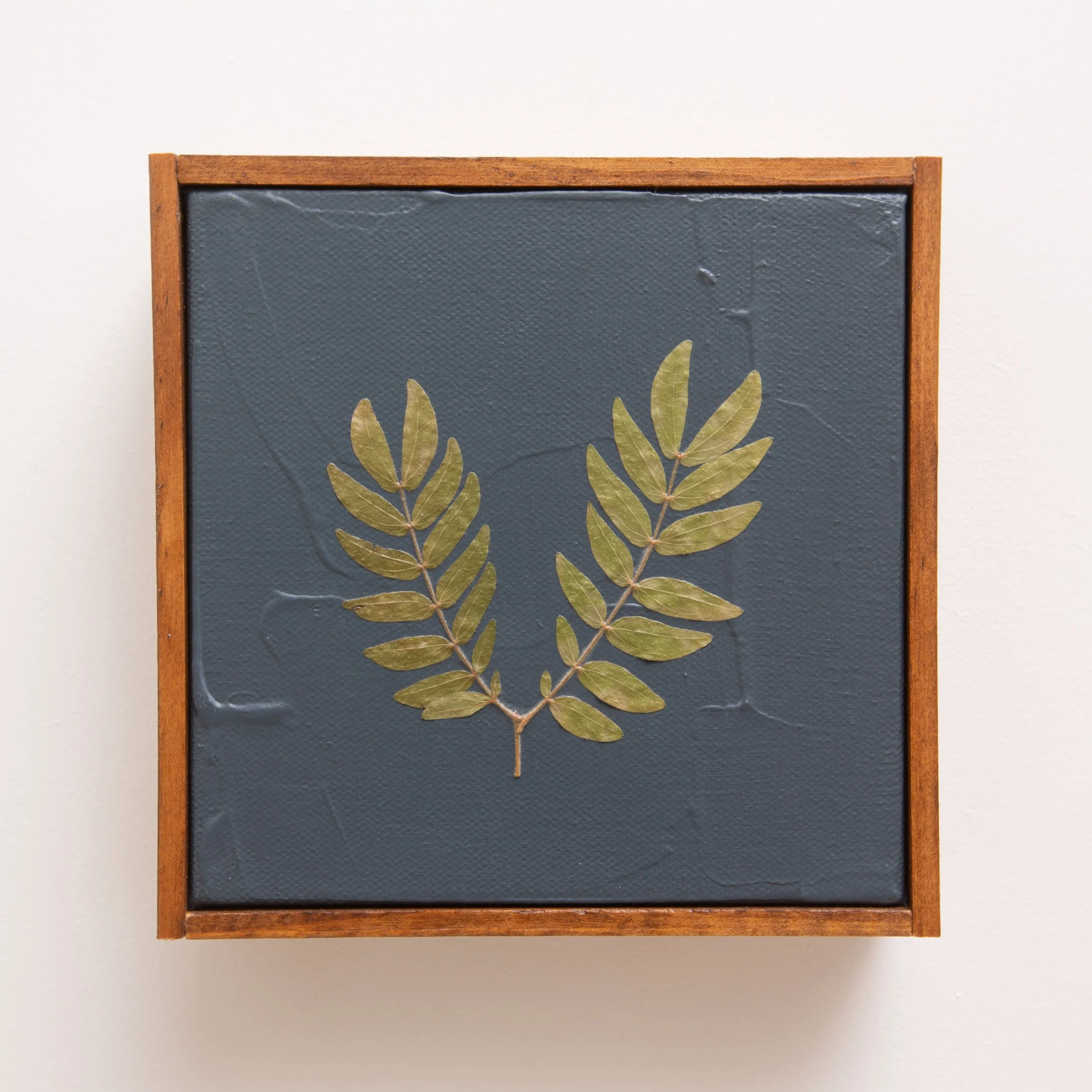 Green Botanicals on Midnight Blue