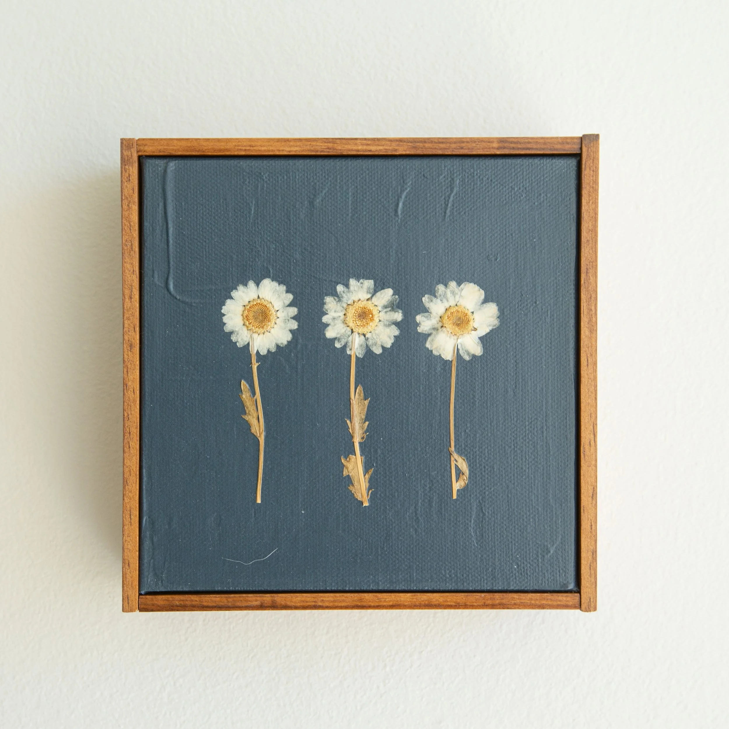 White Flowers on Midnight Blue