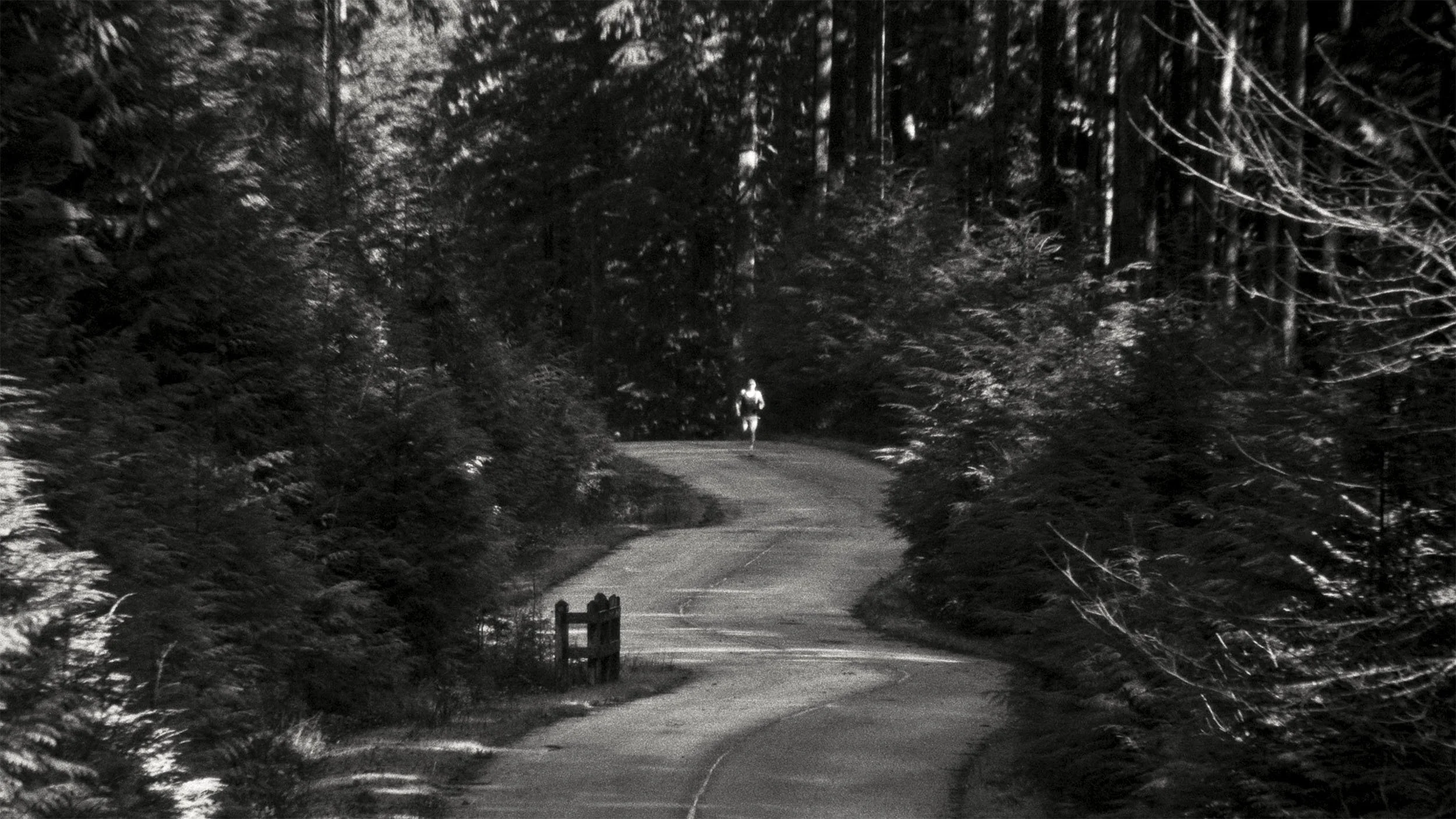 Ciele Icon Edit V7 Final.00_00_05_18.jpg