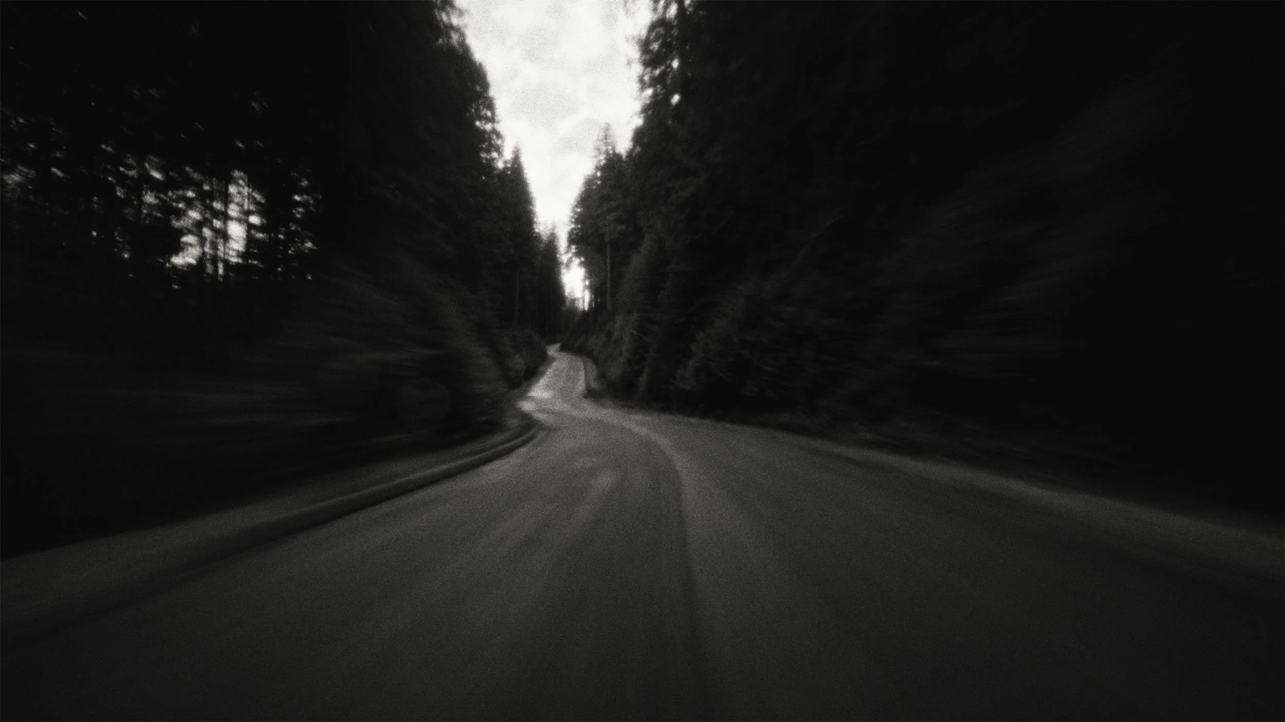 Ciele Icon Edit V7 Final.00_00_25_16.jpg