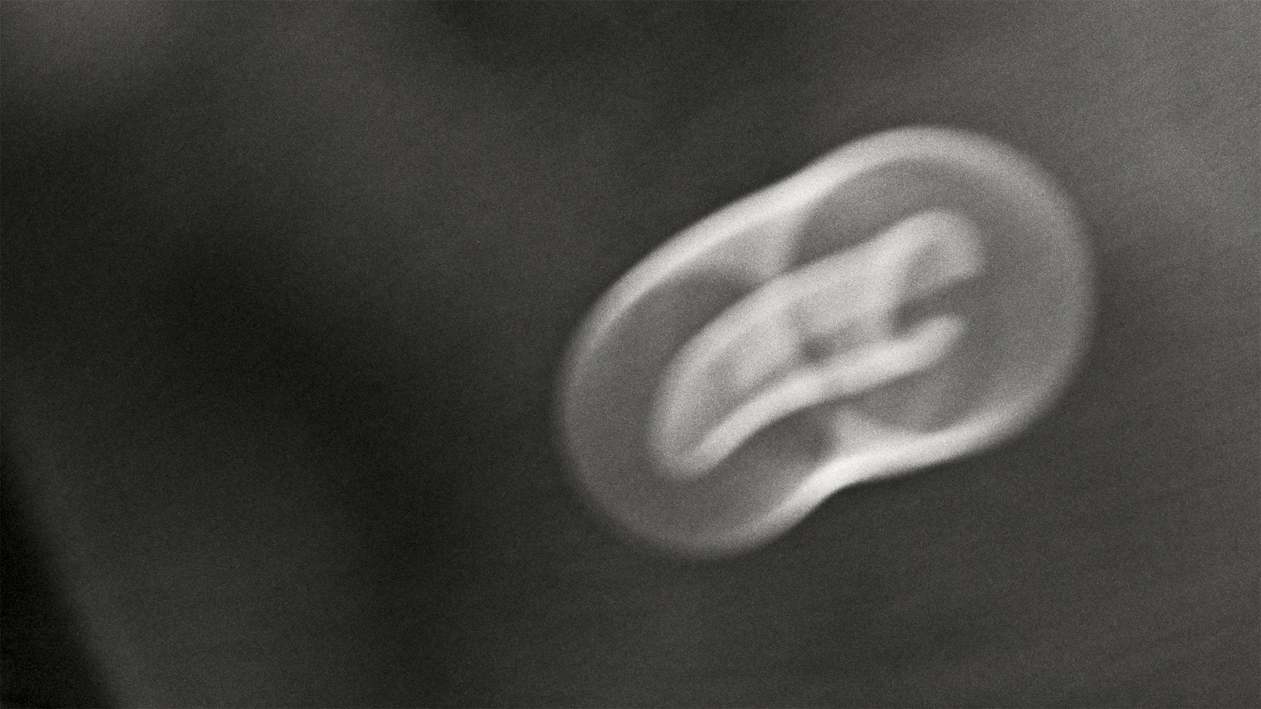 Ciele Icon Edit V7 Final.00_00_47_02.jpg