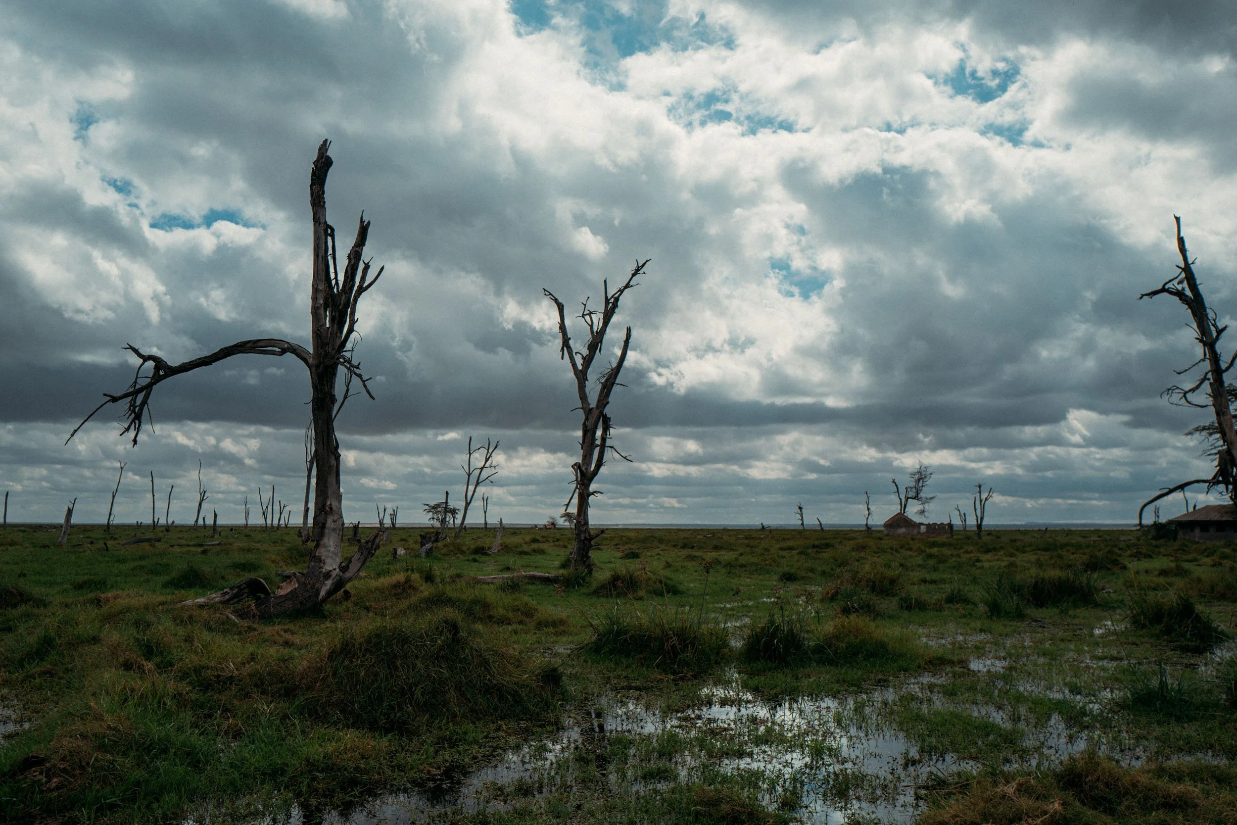 Amboseli-National-Park-Marshland-2.jpg