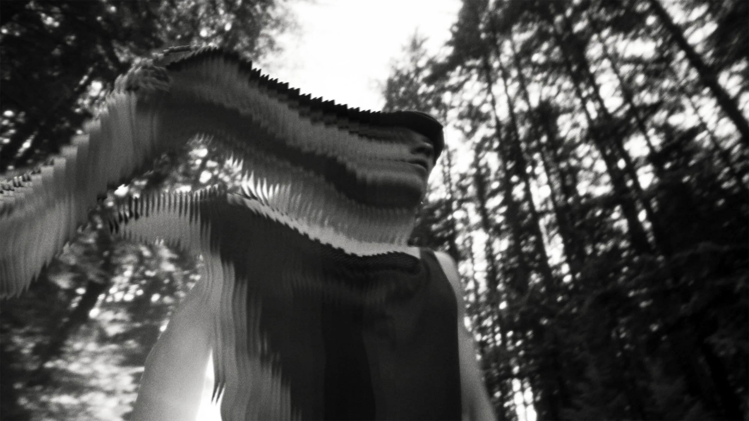 Ciele Icon Edit V7 Final.00_00_43_15.jpg