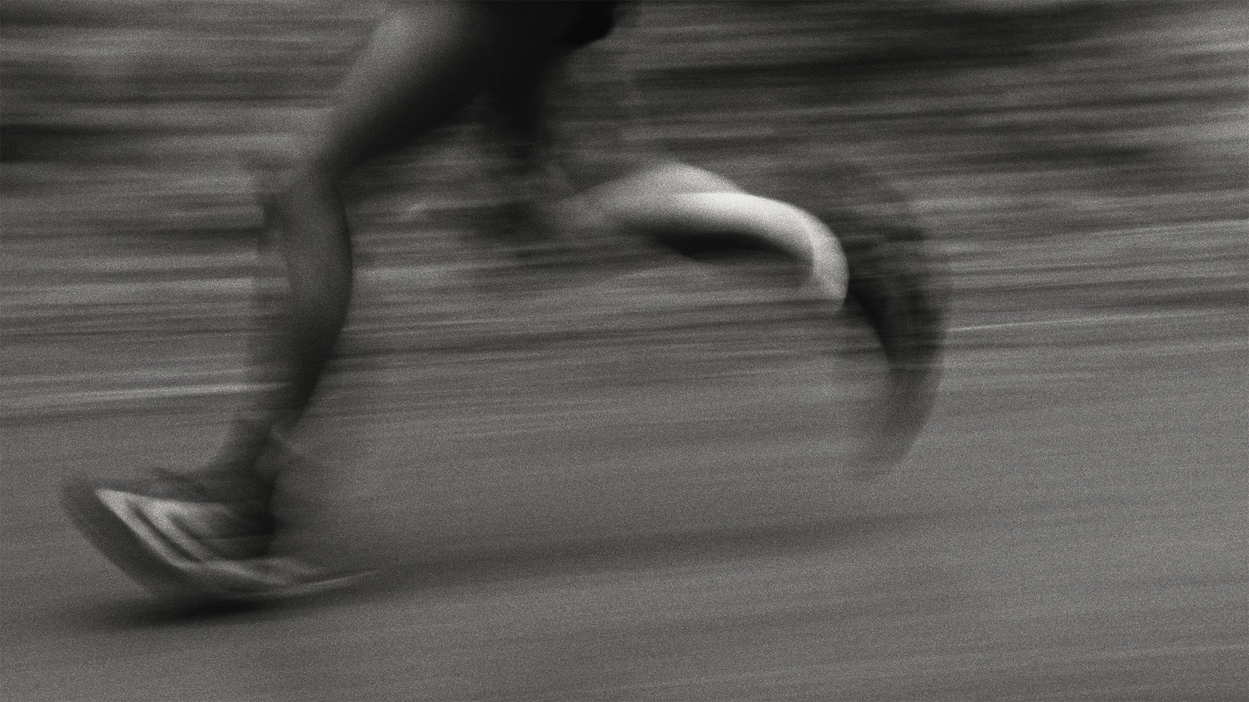 Ciele Icon Edit V7 Final.00_00_11_17.jpg