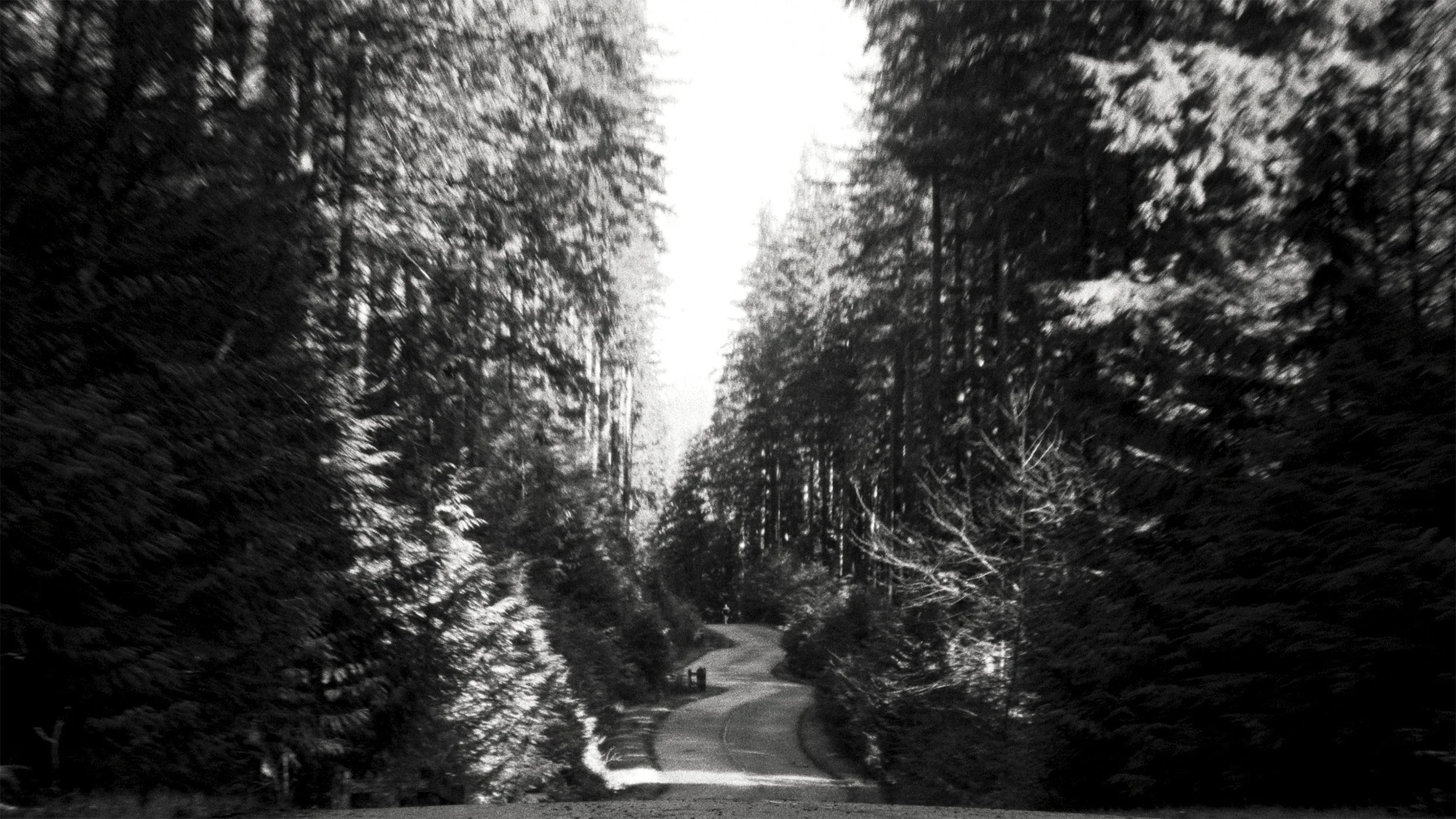 Ciele Icon Edit V7 Final.00_00_02_12.jpg