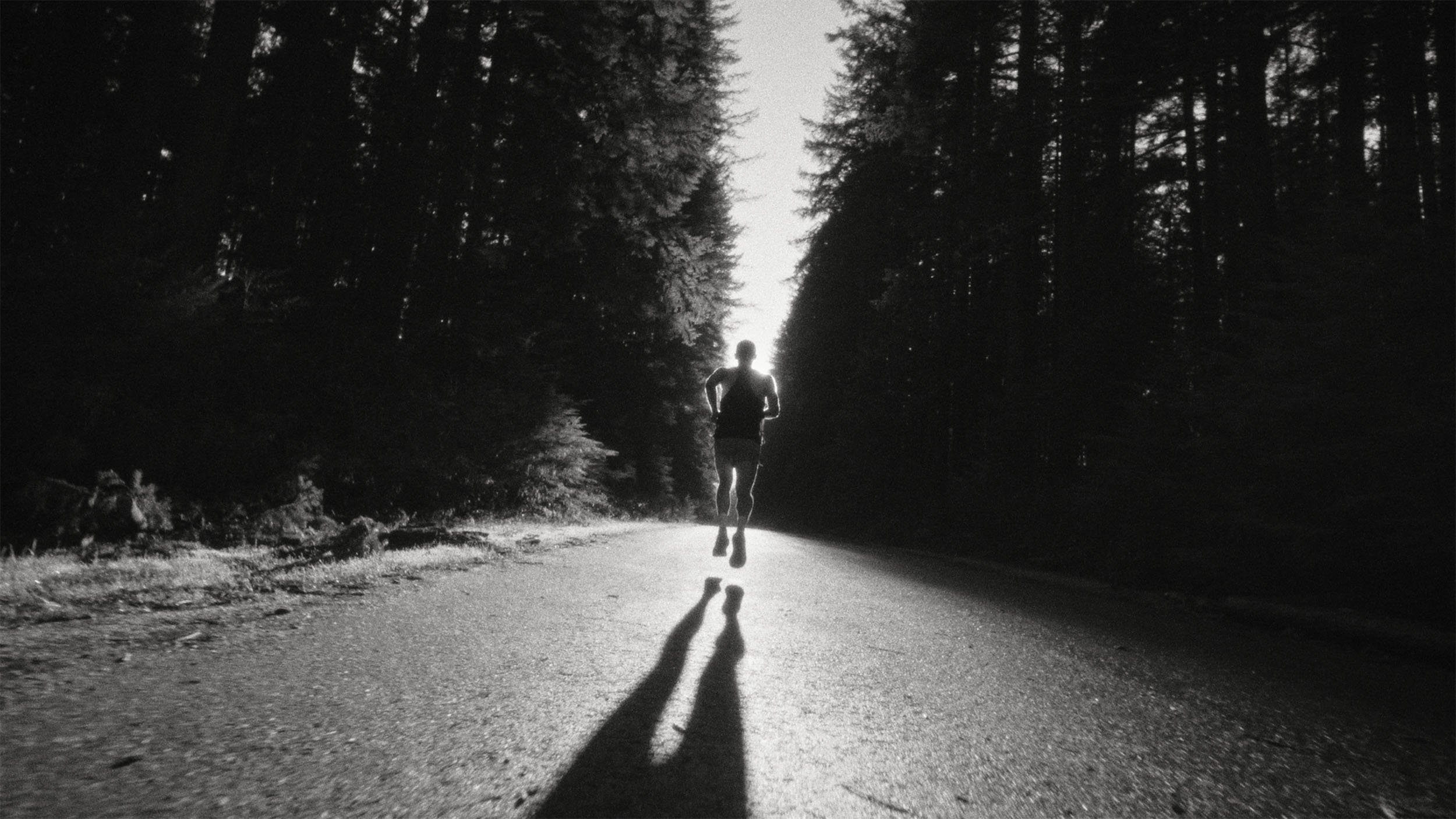 Ciele Icon Edit V7 Final.00_00_45_16.jpg