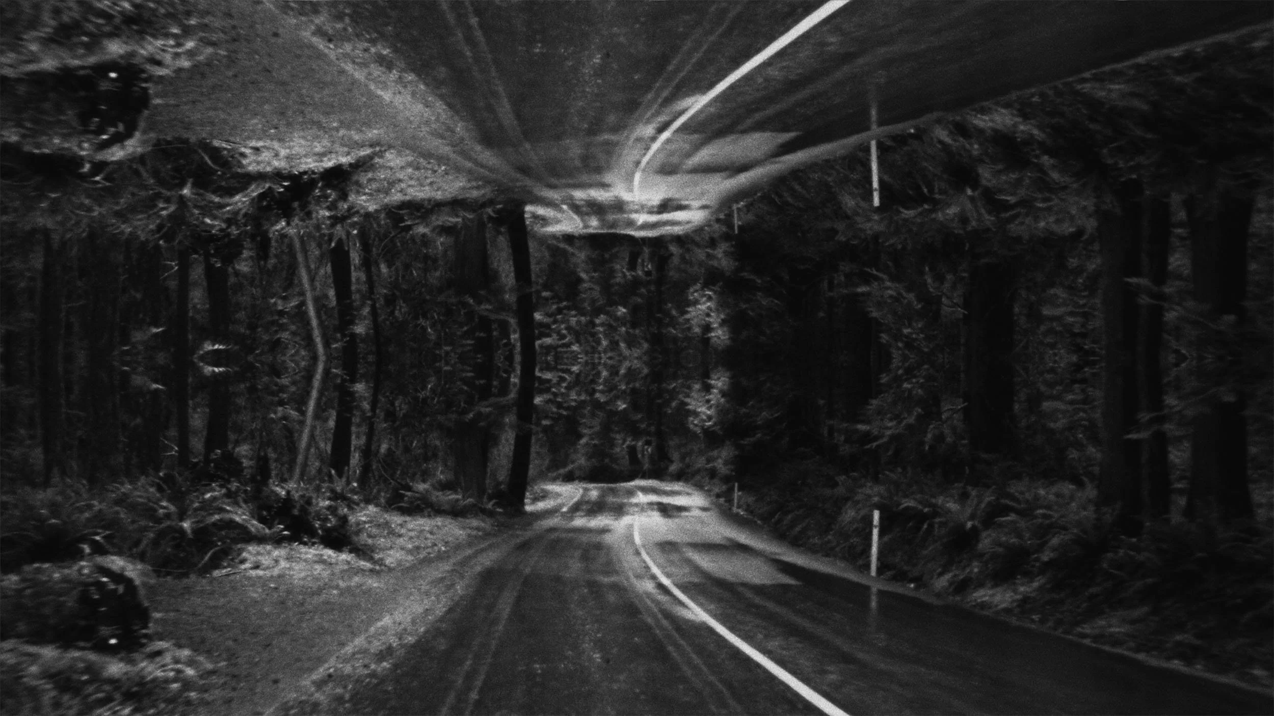 Ciele Icon Edit V7 Final.00_00_22_15.jpg