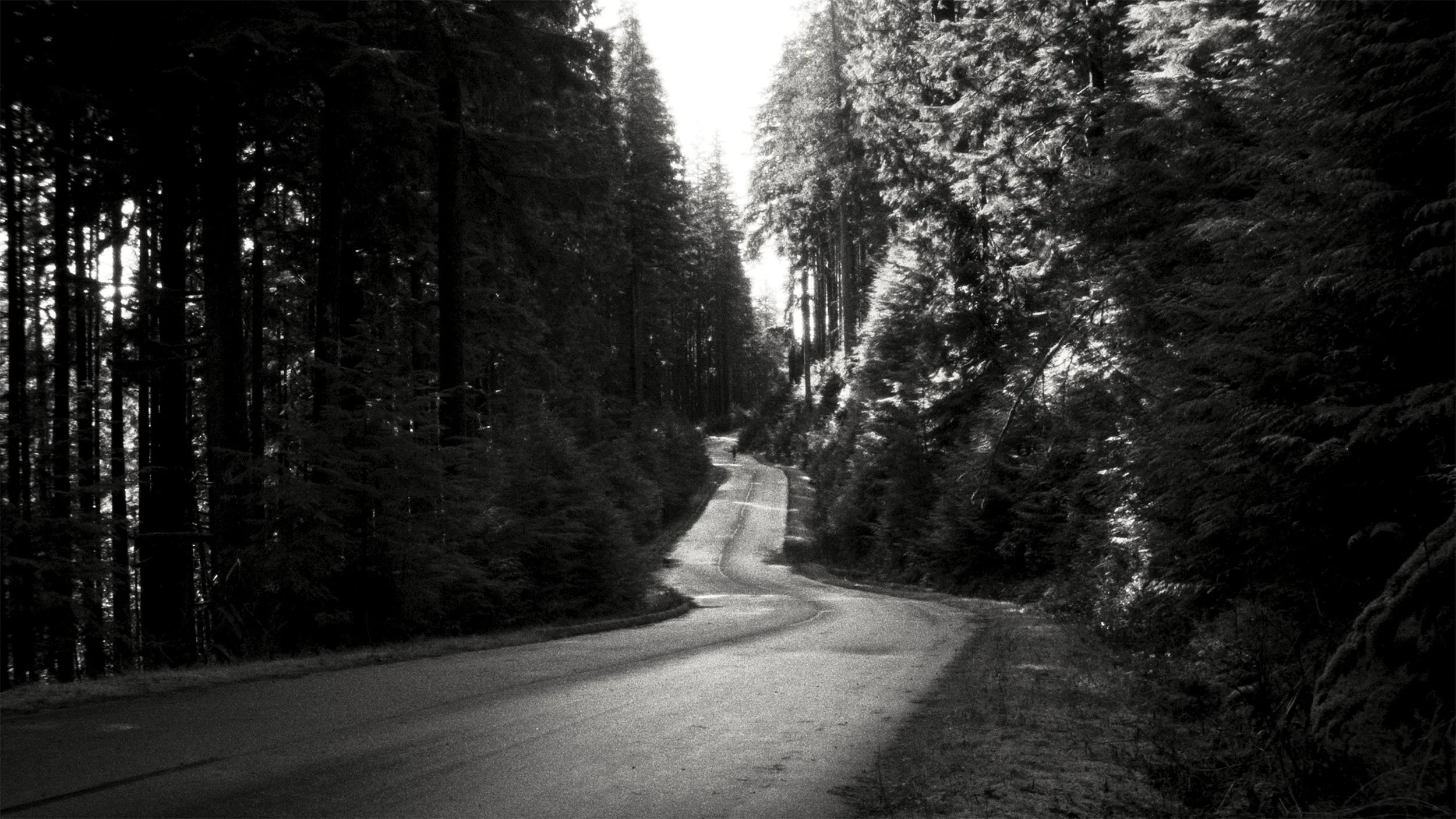 Ciele Icon Edit V7 Final.00_00_56_14.jpg