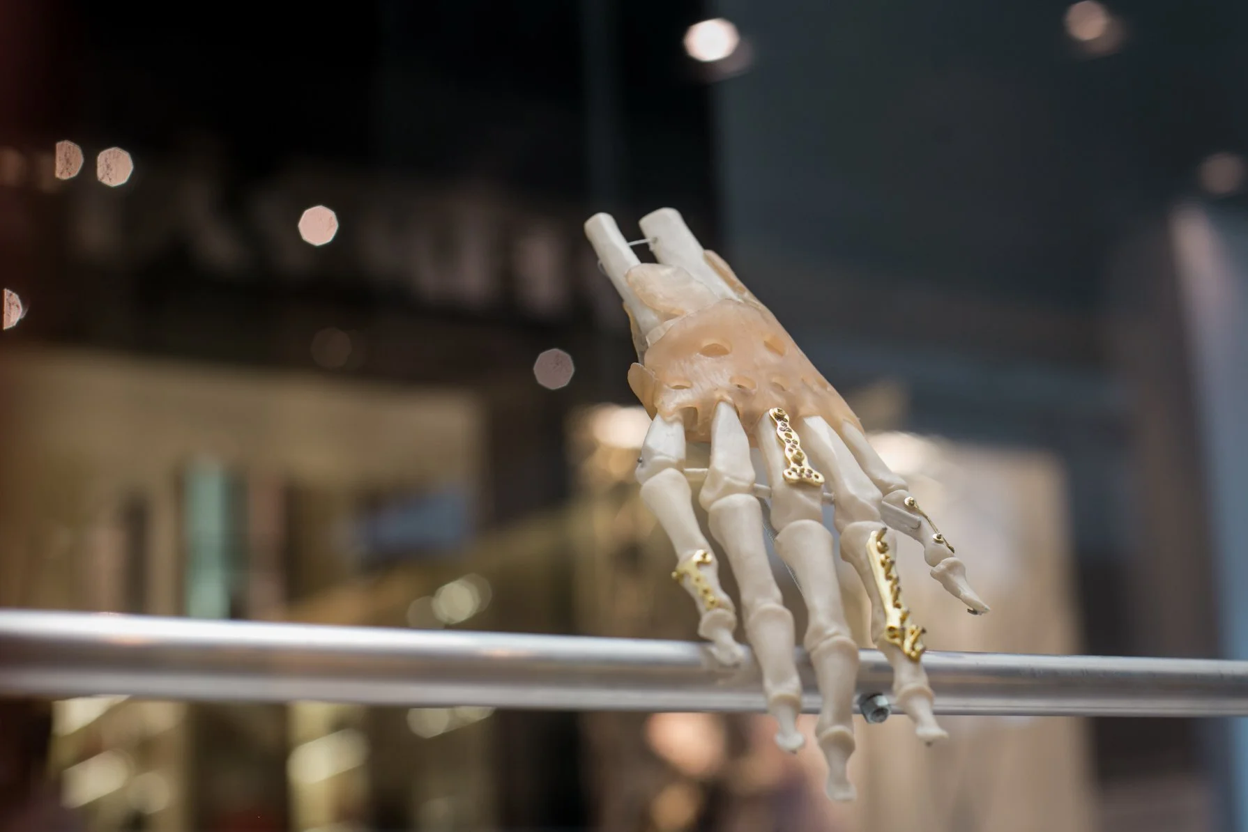 44131166_10156237780818705_2692245303980982272_n (1).jpg