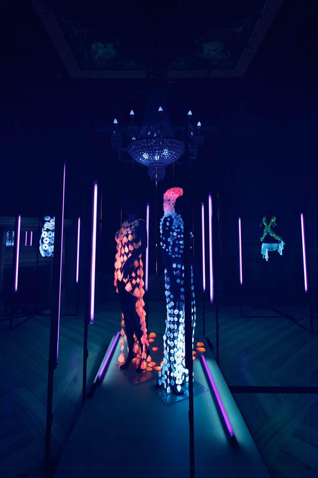 OLGA—016 (1).jpg