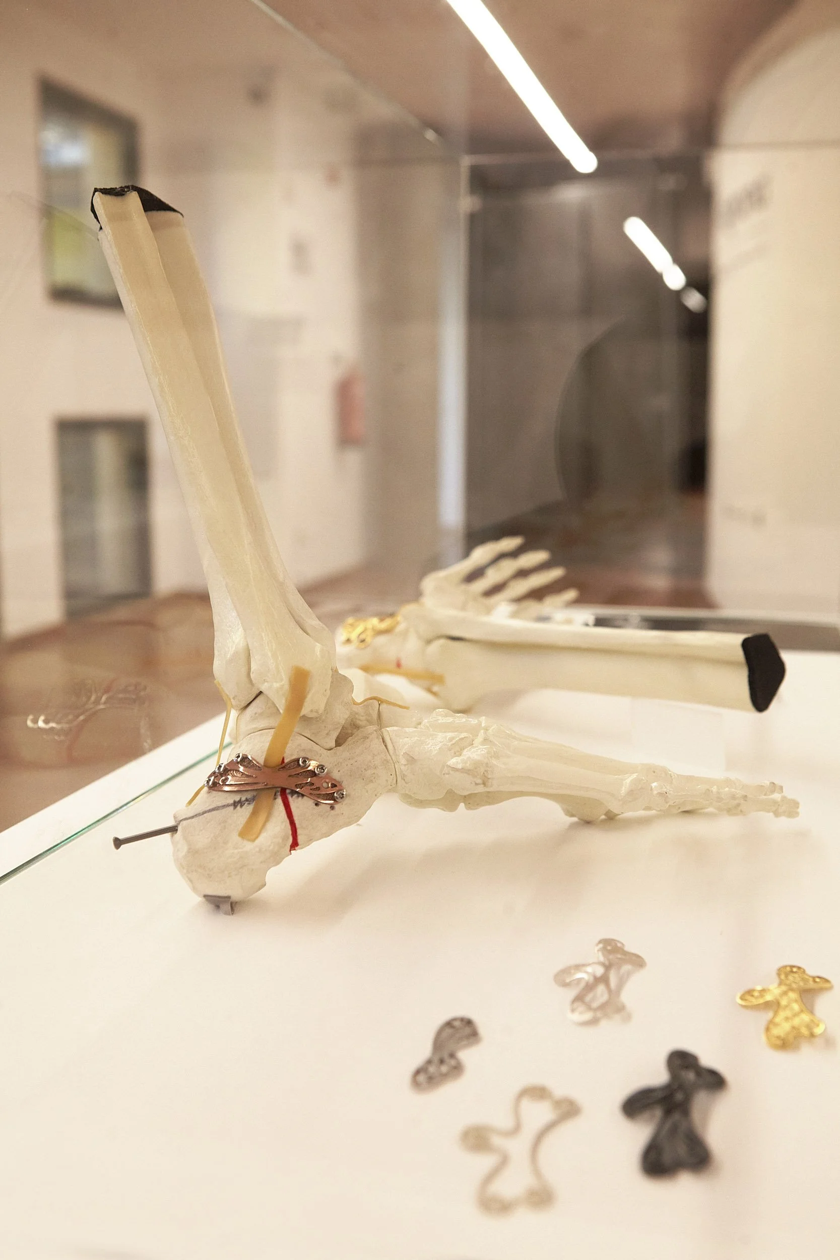 OlgaNoronha 10.1.jpg