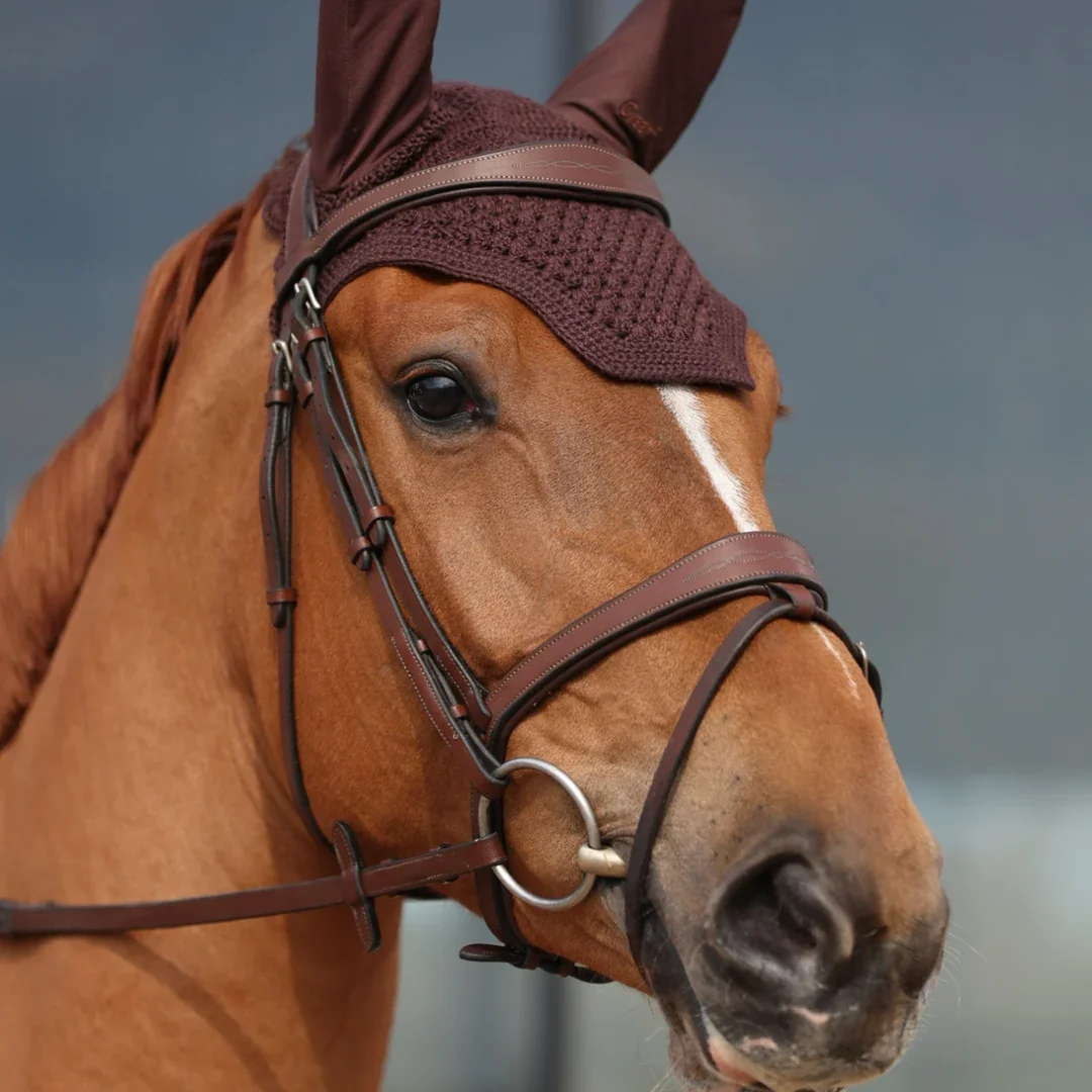 Bridon Geneva - Cuir de vachette Greenfield