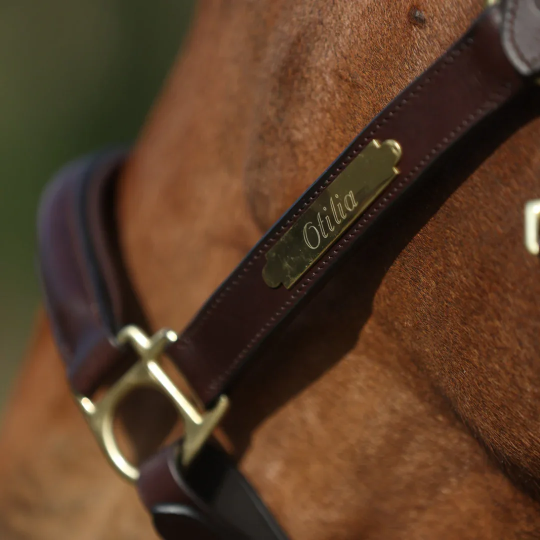 leather_2.webp